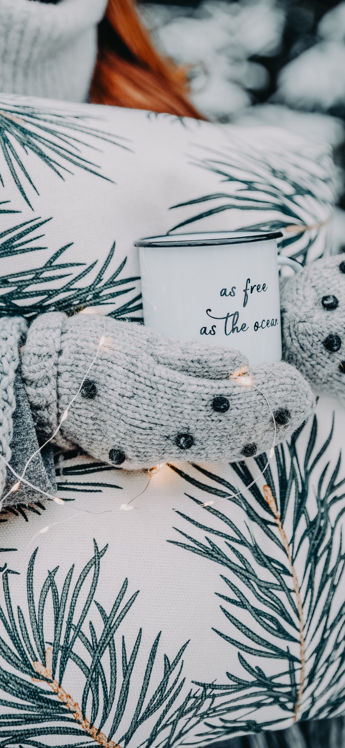 科罗拉多云杉, Fir, 松的家庭, 黑色和白色的, 黑色 白色 - M 壁纸 1125x2436 允许