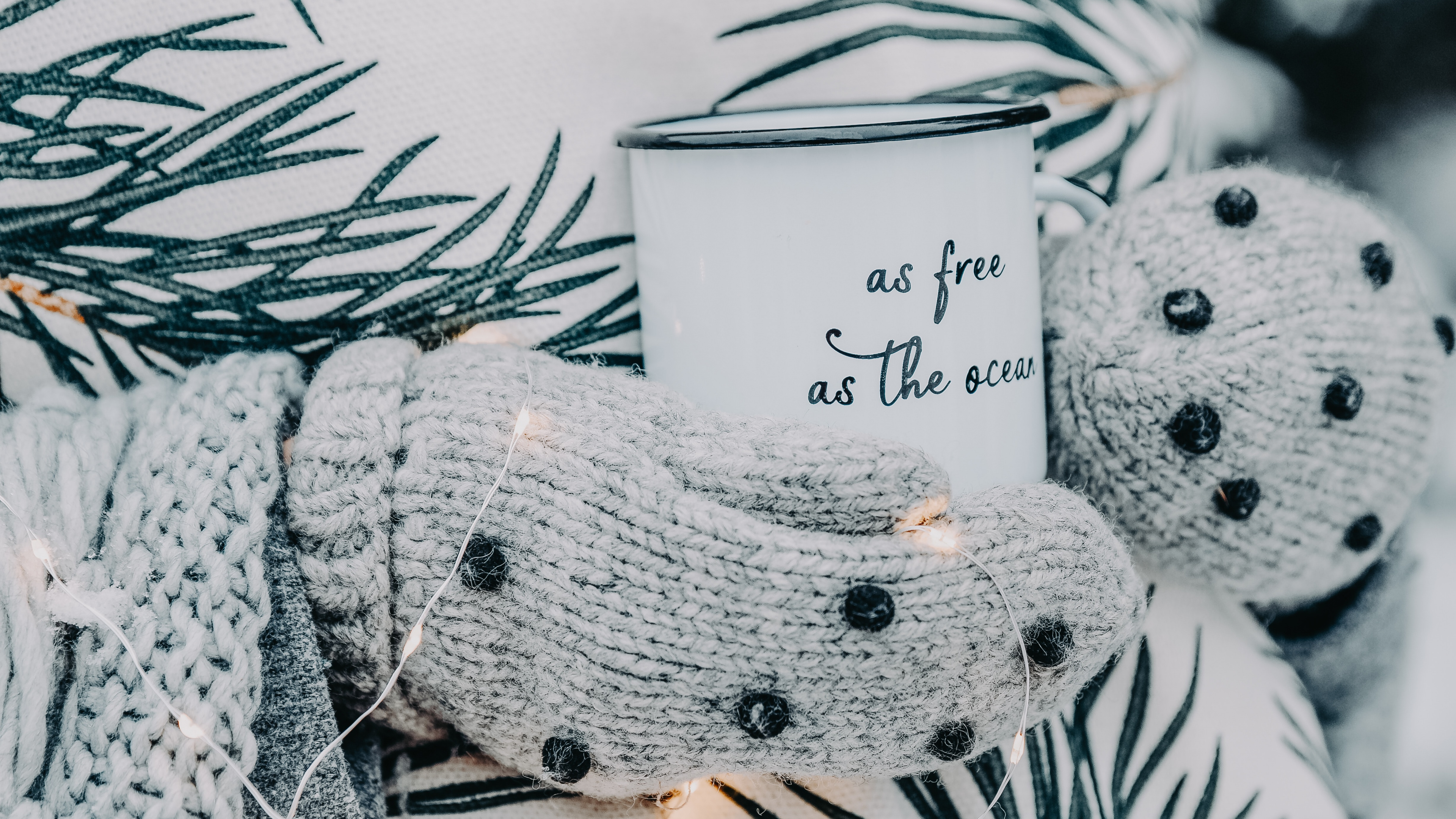 科罗拉多云杉, Fir, 松的家庭, 黑色和白色的, 黑色 白色 - M 壁纸 3840x2160 允许