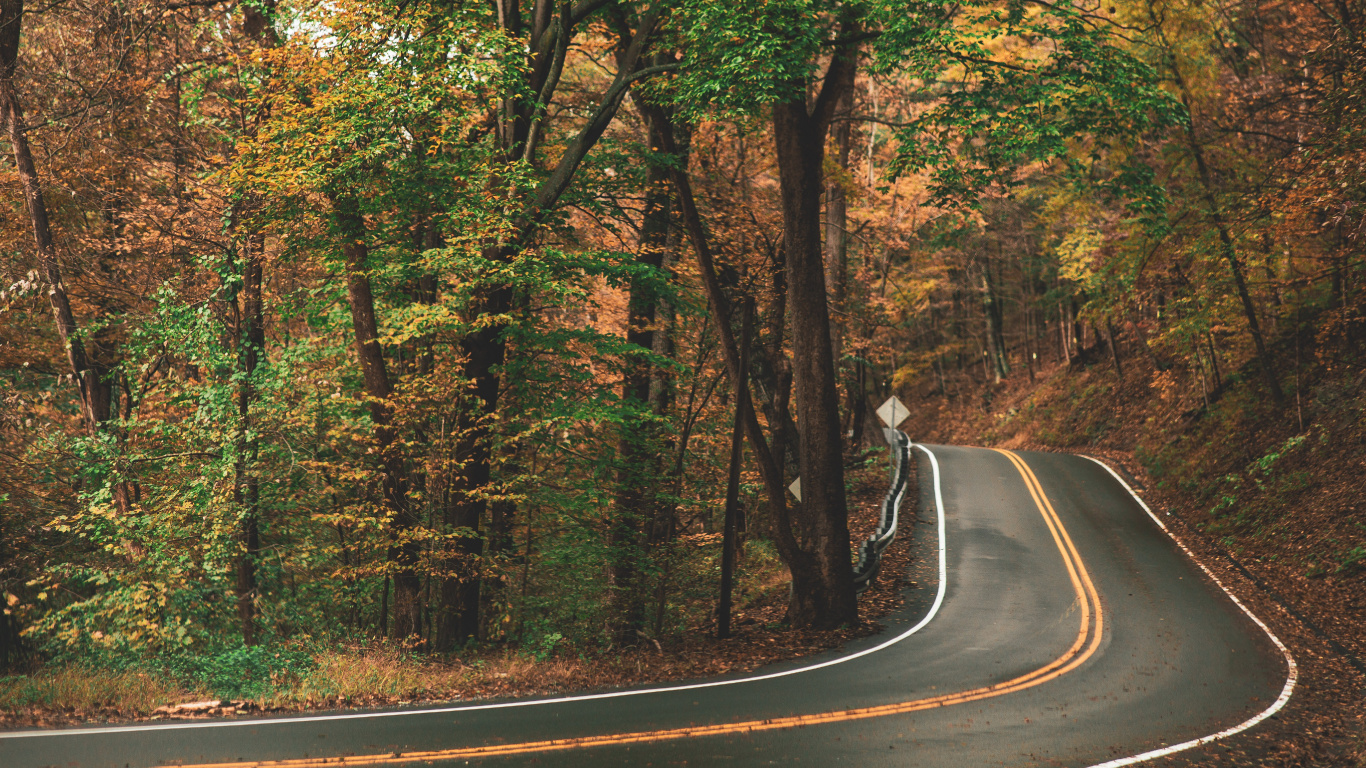 Mercedes-Benz Sprinter, Brown, Plant, Ecoregion, Natural Landscape. Wallpaper in 1366x768 Resolution