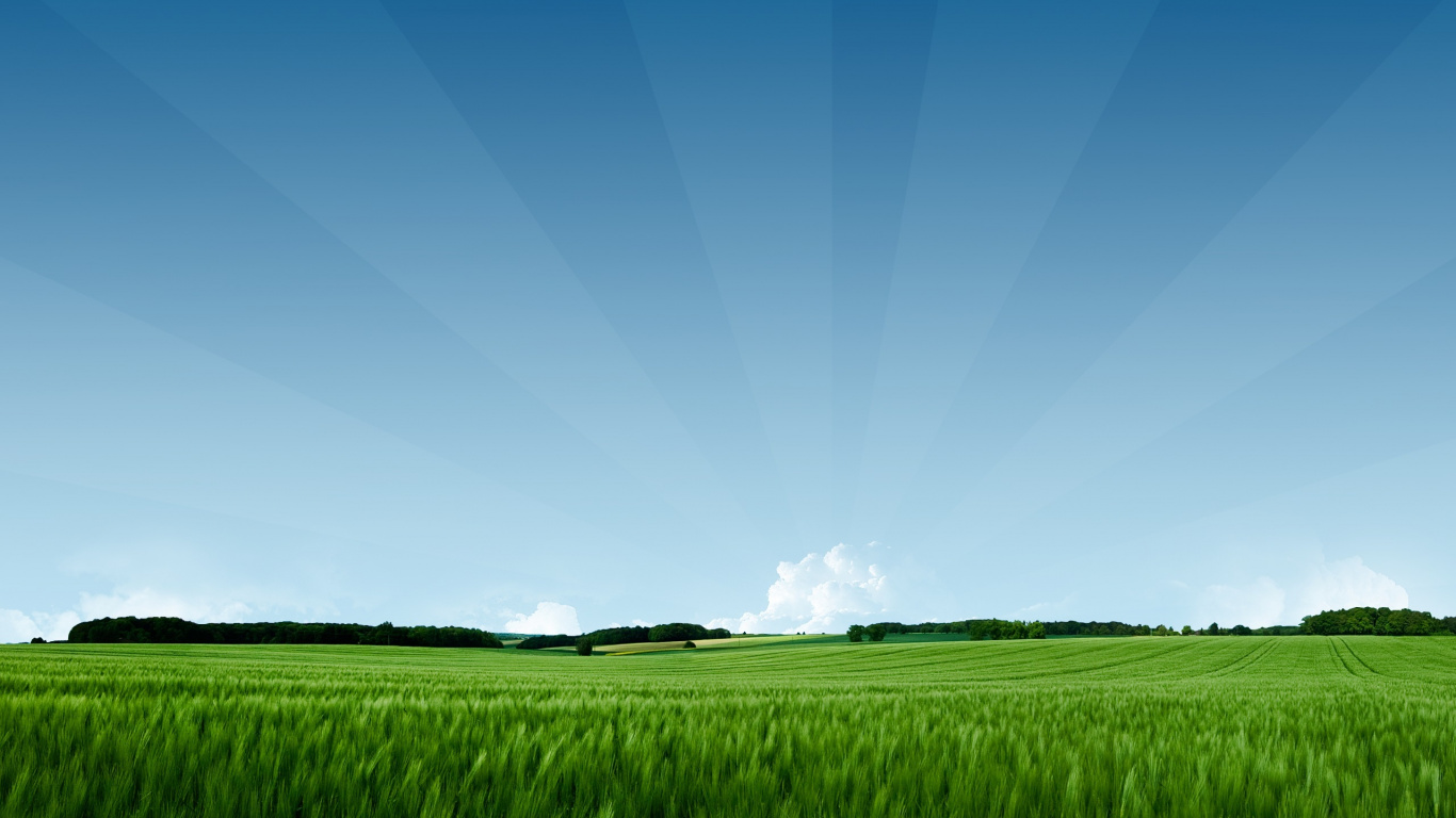 Green Grass Field Under Blue Sky During Daytime. Wallpaper in 1366x768 Resolution