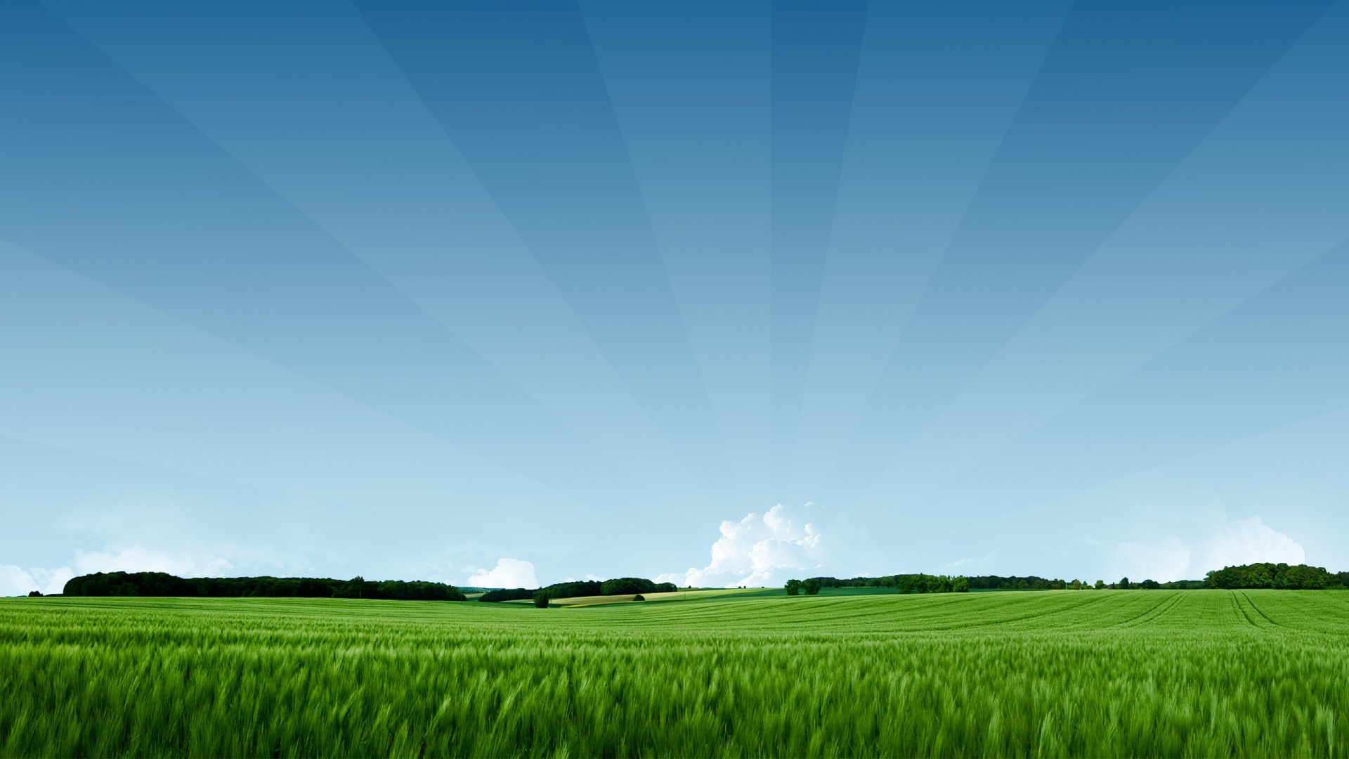 Green Grass Field Under Blue Sky During Daytime. Wallpaper in 1920x1080 Resolution