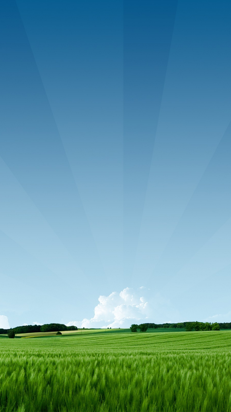 Green Grass Field Under Blue Sky During Daytime. Wallpaper in 750x1334 Resolution