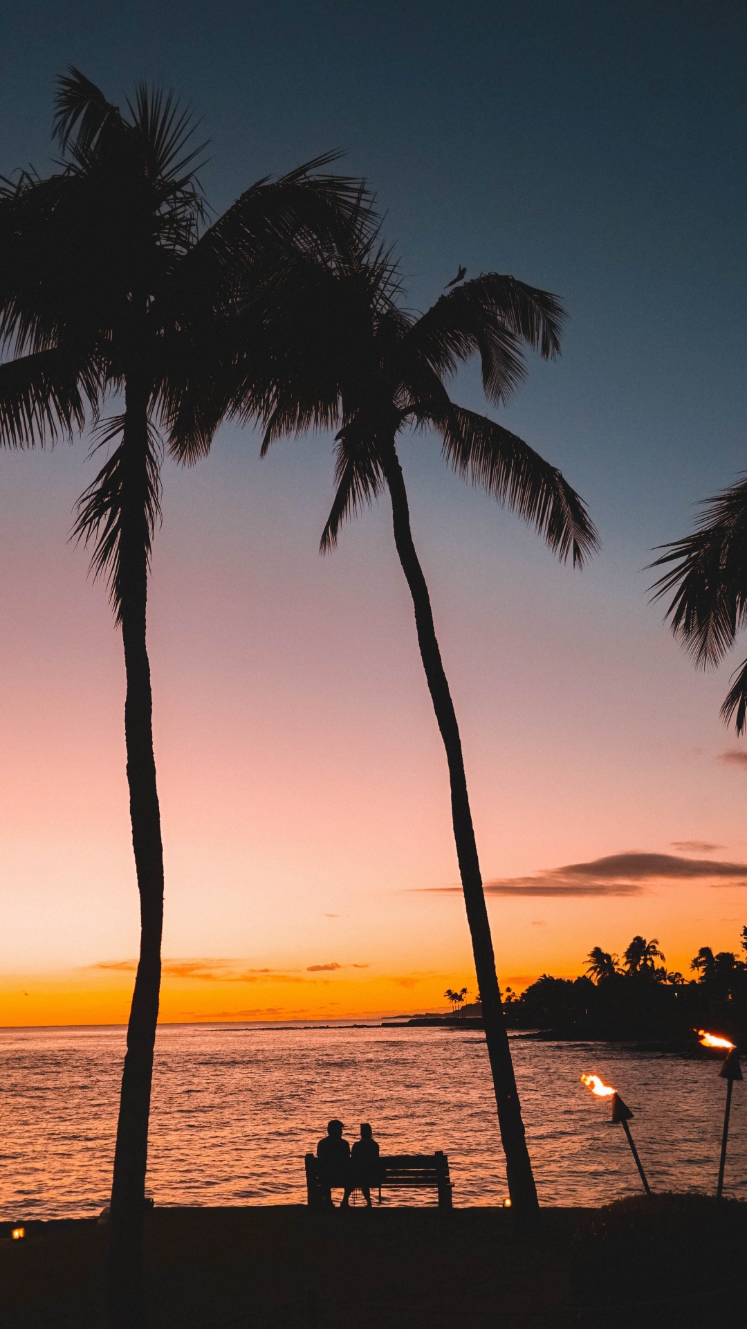 Tree, Palm Tree, Tropics, Sunset, Woody Plant. Wallpaper in 1080x1920 Resolution