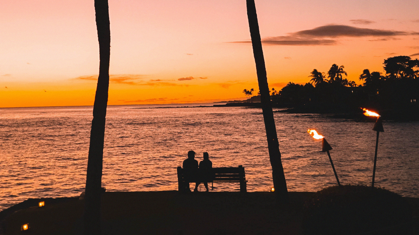 Tree, Palm Tree, Tropics, Sunset, Woody Plant. Wallpaper in 1366x768 Resolution