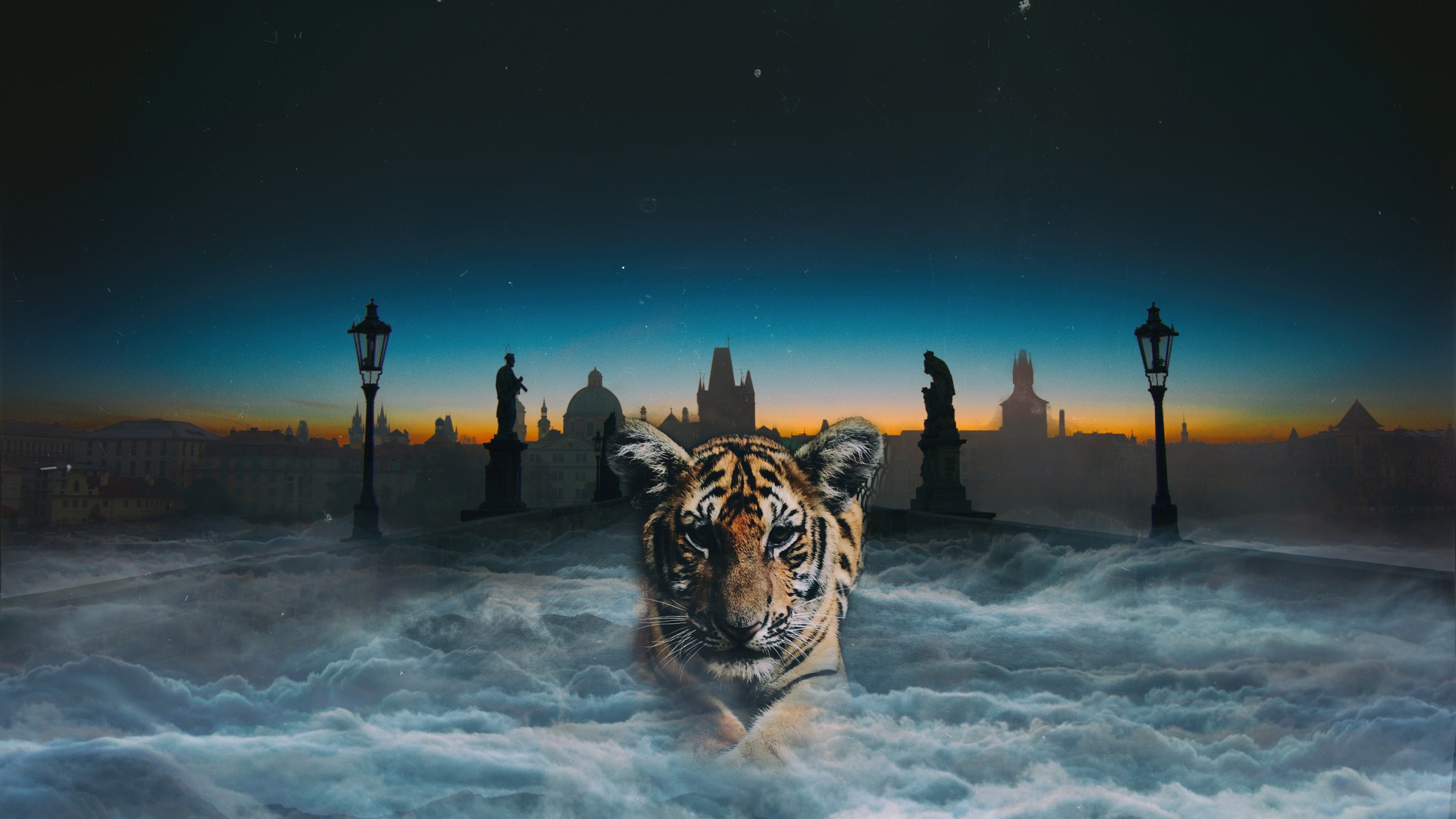 Tigre y Tigre en Suelo Cubierto de Nieve Durante la Noche. Wallpaper in 2560x1440 Resolution