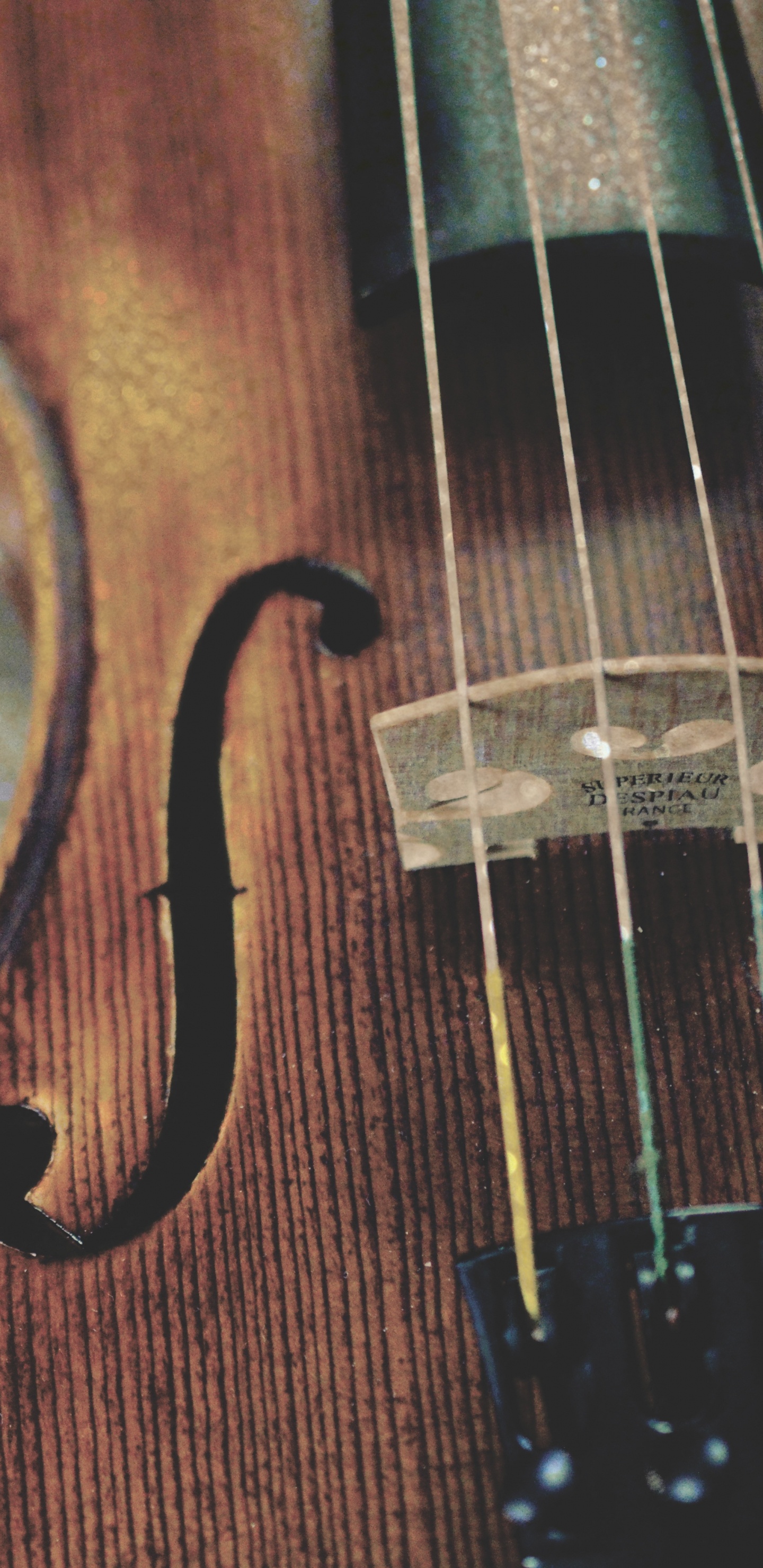 Instrumento de Cuerda, Instrumento Musical, se Inclinó Instrumento de Cuerda, Viol, Familia Del Violín. Wallpaper in 1440x2960 Resolution