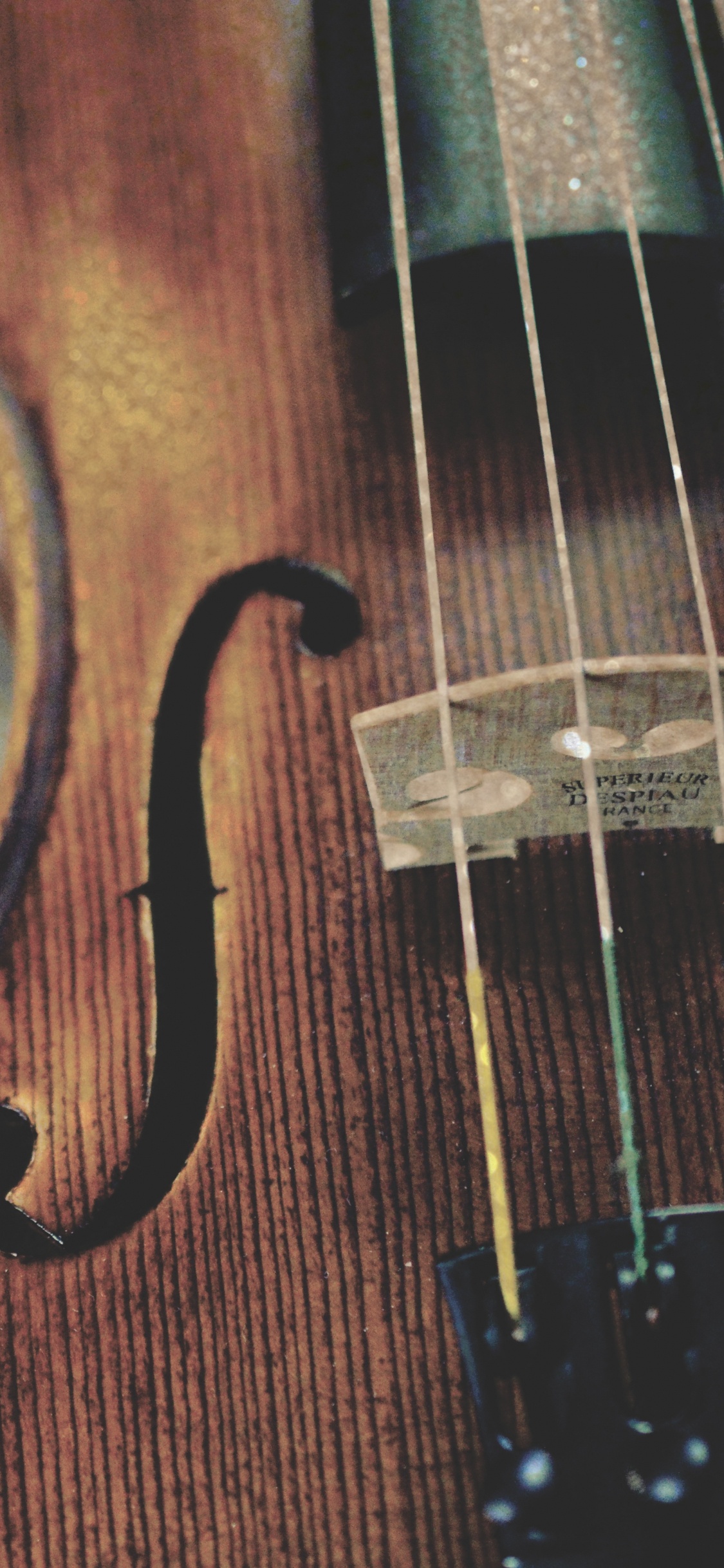 Streichinstrument, Gambe, Violine Familie, Musik, Bass Geige. Wallpaper in 1125x2436 Resolution