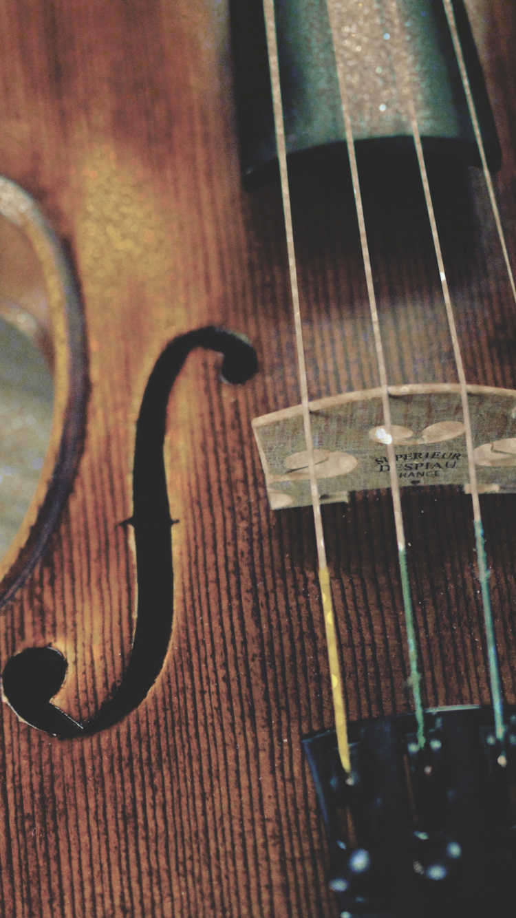 Streichinstrument, Gambe, Violine Familie, Musik, Bass Geige. Wallpaper in 750x1334 Resolution
