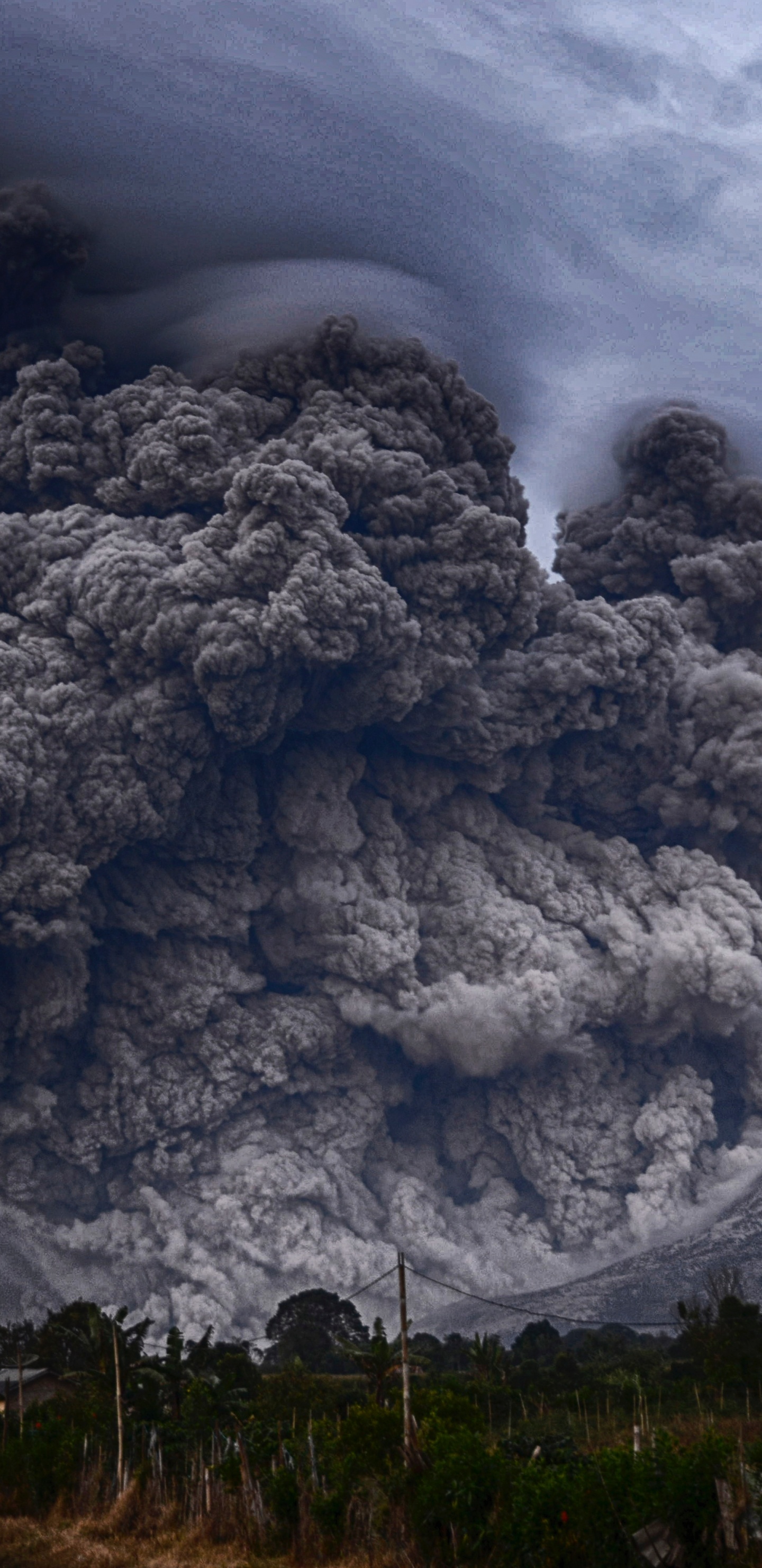 Weiße Wolken Über Grünen Bäumen Und Bergen. Wallpaper in 1440x2960 Resolution