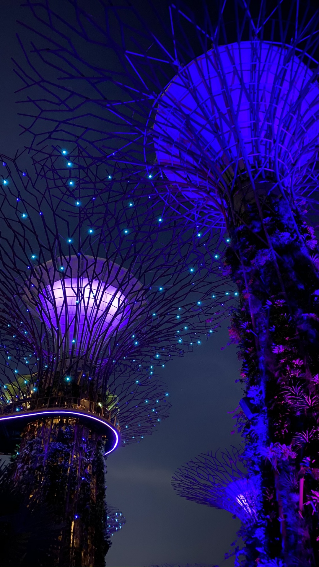 Singapur, Licht, Blau, Purpur, Veilchen. Wallpaper in 1080x1920 Resolution