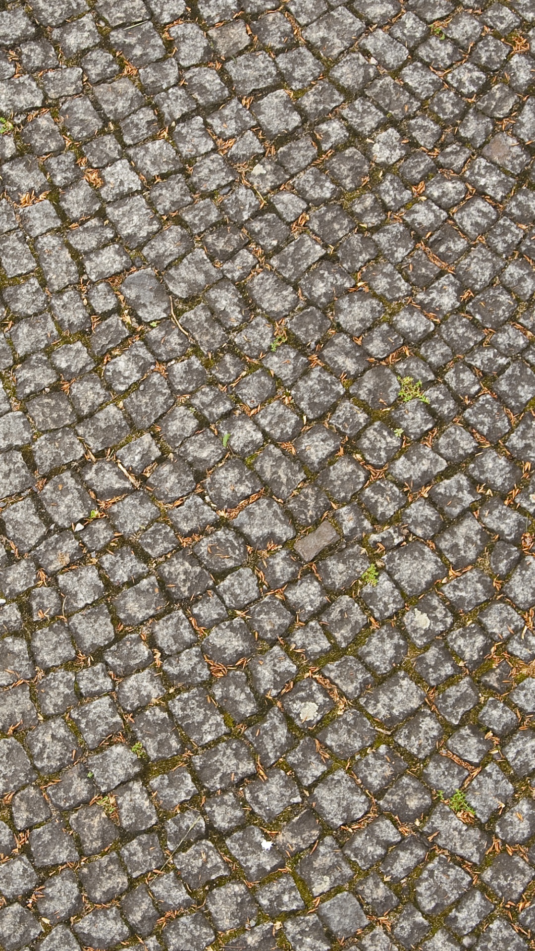 Grauer Und Schwarzer Betonbelag. Wallpaper in 1080x1920 Resolution