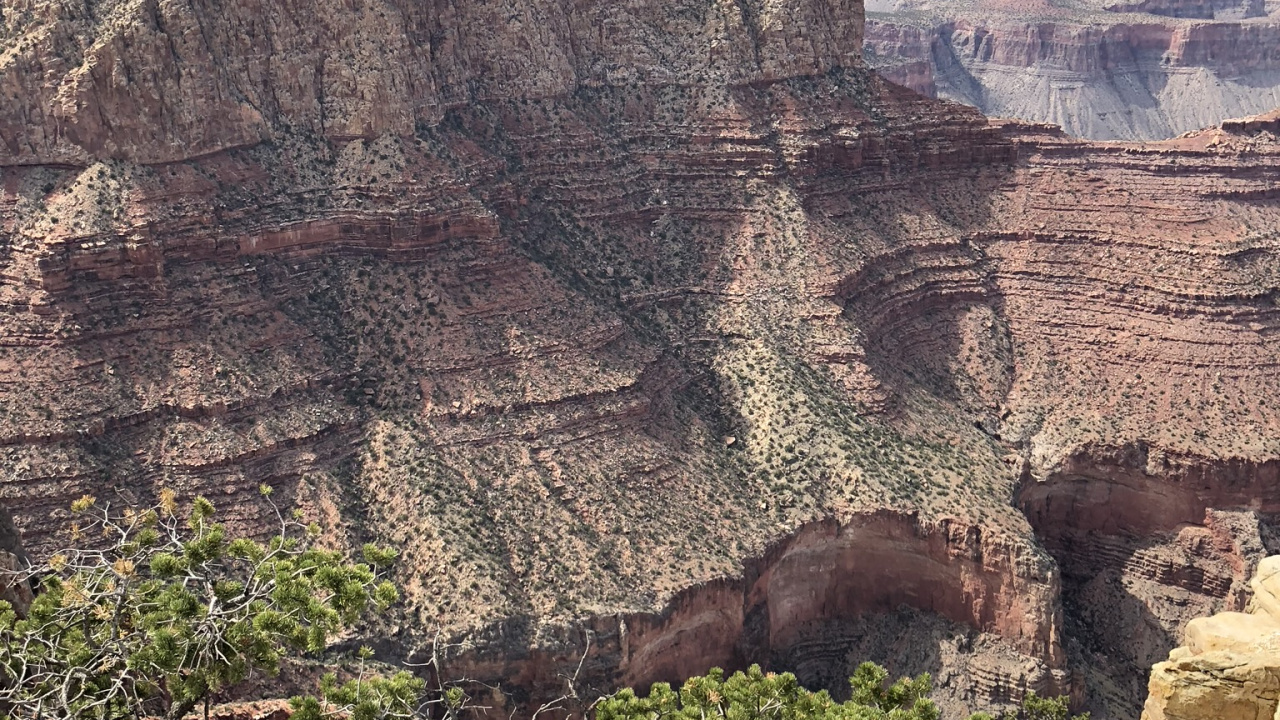 Grand Canyon, Bergigen Landschaftsformen, Aufschluss, Pflanzen-Gemeinschaft, Rock. Wallpaper in 1280x720 Resolution
