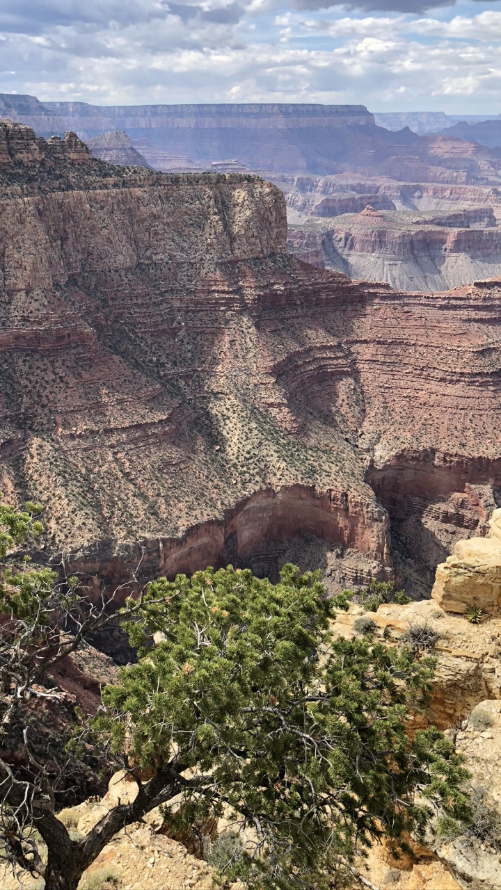 Grand Canyon, Mountainous Landforms, Outcrop, Plant Community, Rock. Wallpaper in 720x1280 Resolution