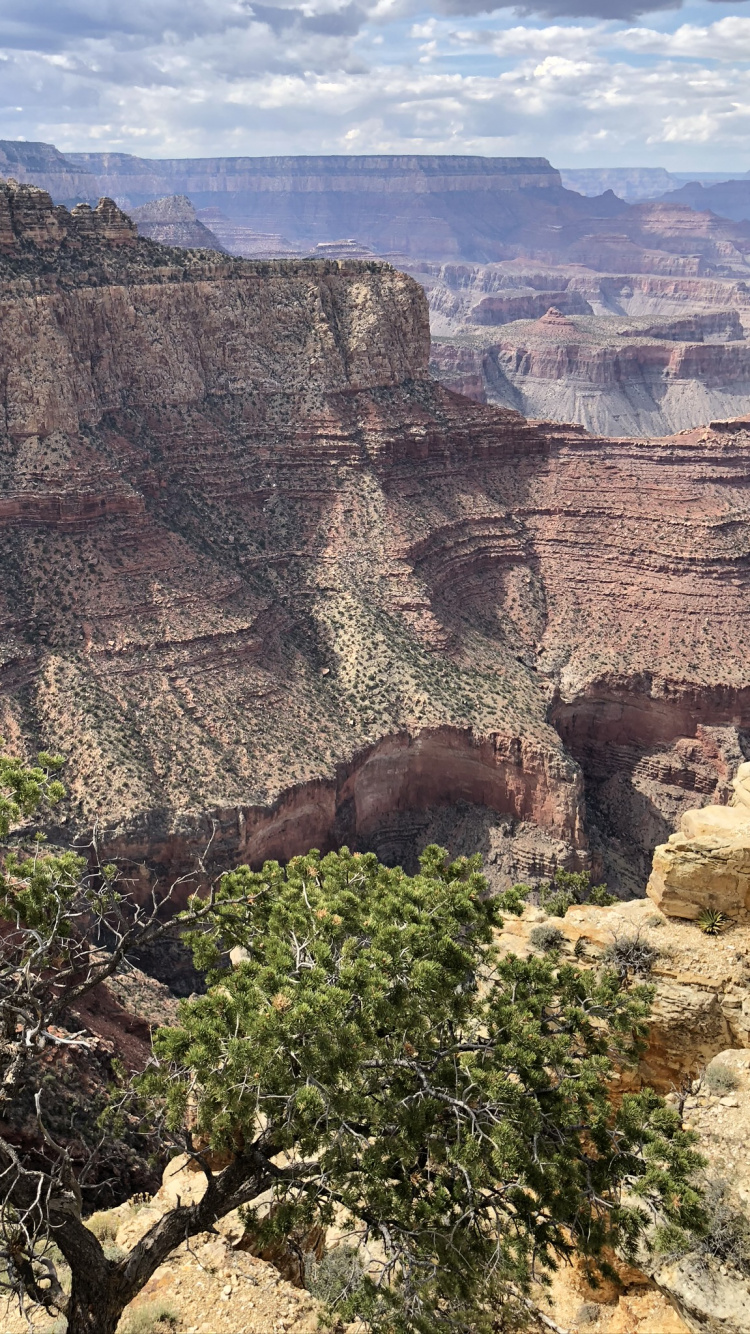 Grand Canyon, Mountainous Landforms, Outcrop, Plant Community, Rock. Wallpaper in 750x1334 Resolution