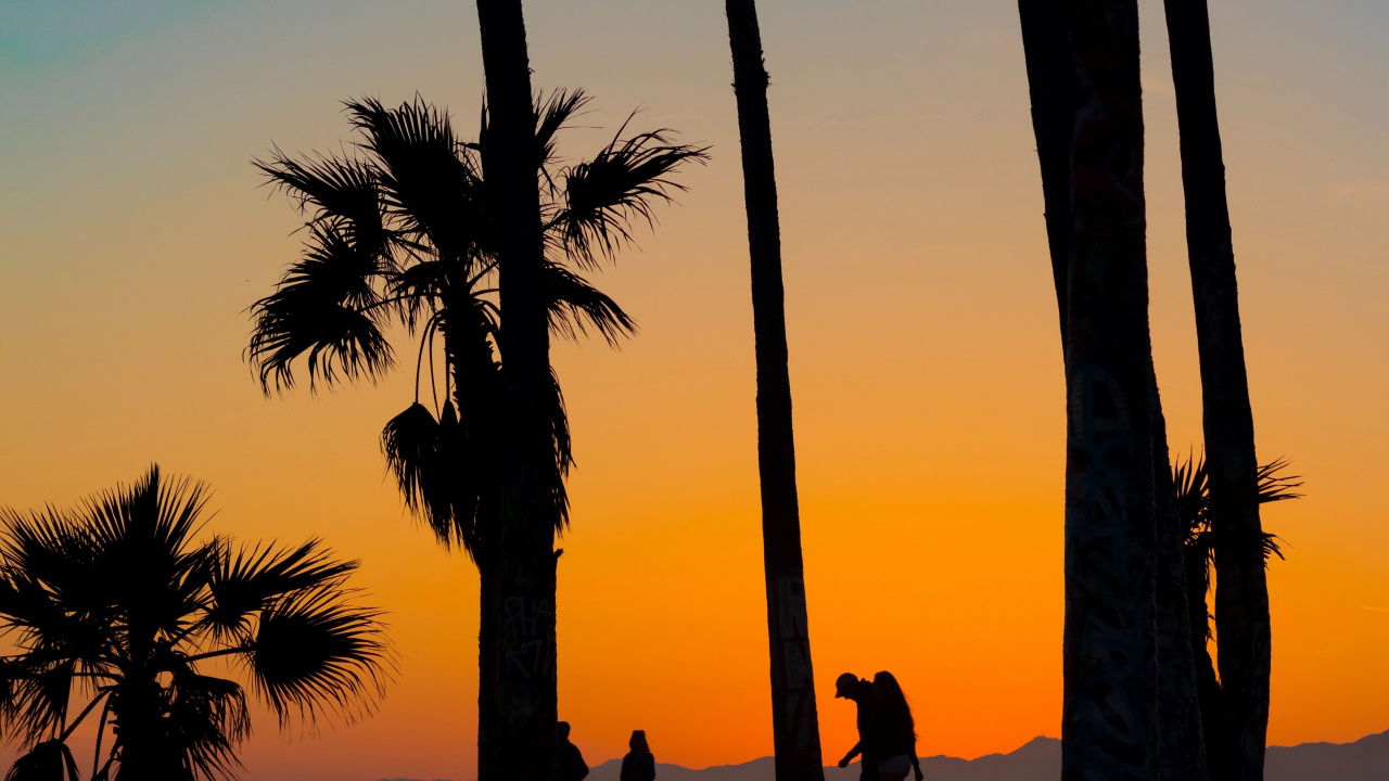 Silhouette Von Menschen, Die Während Des Sonnenuntergangs in Der Nähe Von Palmen Stehen. Wallpaper in 1280x720 Resolution