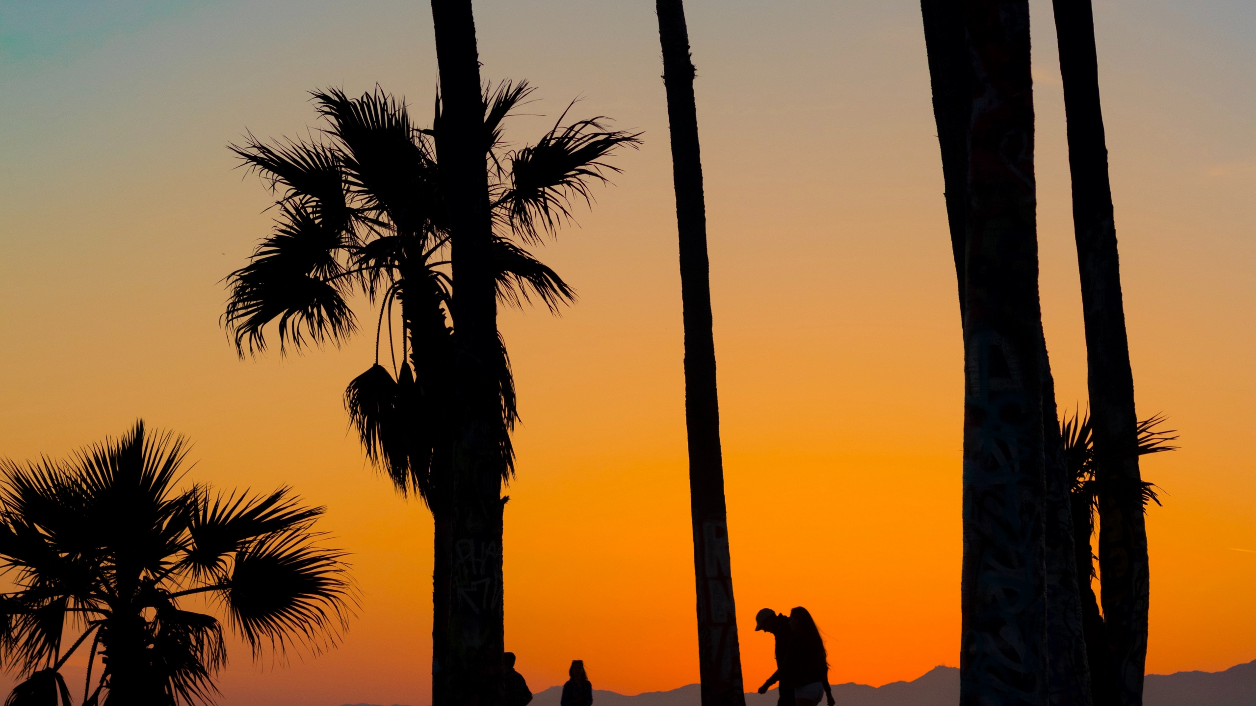 Silhouette Von Menschen, Die Während Des Sonnenuntergangs in Der Nähe Von Palmen Stehen. Wallpaper in 2560x1440 Resolution