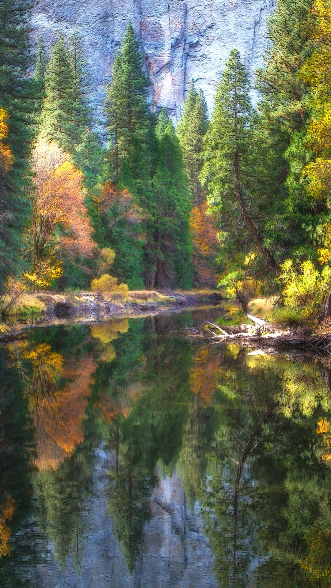 Tagsüber Grüne Bäume am Fluss. Wallpaper in 1080x1920 Resolution