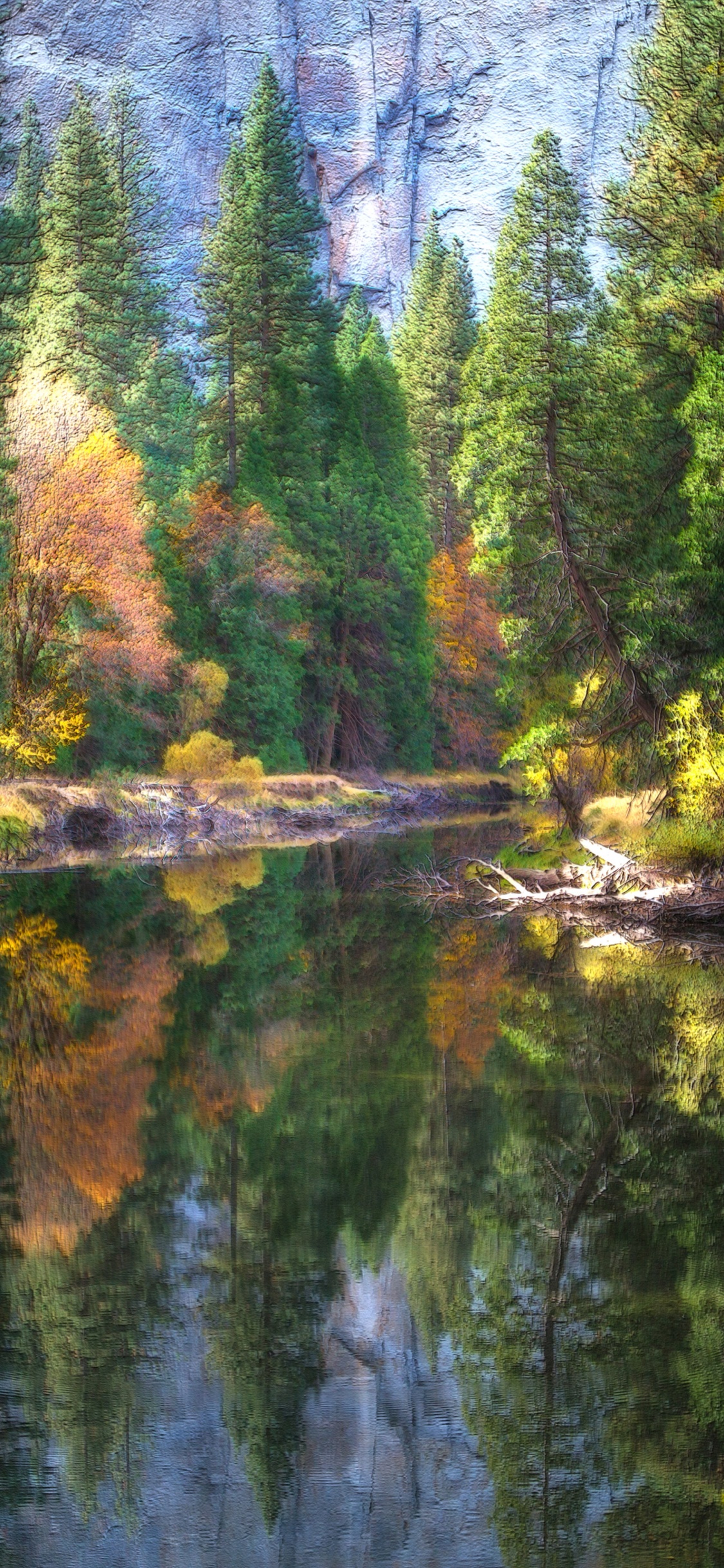 Tagsüber Grüne Bäume am Fluss. Wallpaper in 1125x2436 Resolution