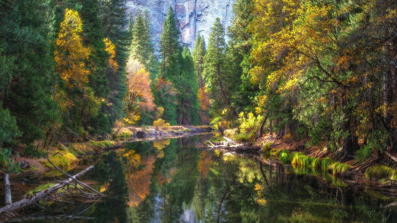 Green Trees Beside River During Daytime. Wallpaper in 1280x720 Resolution