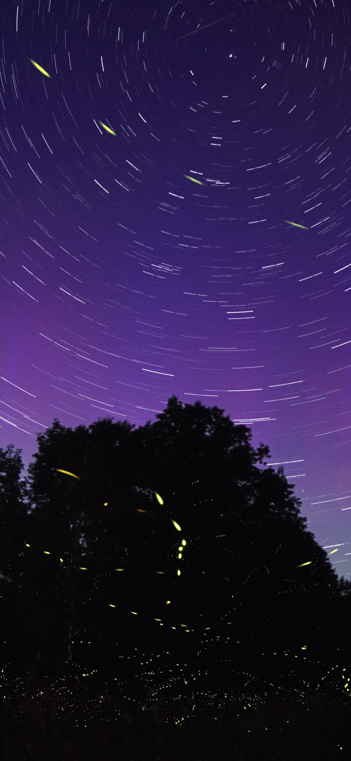 Luciérnaga, Morado, Espacio, Violeta, Naturaleza. Wallpaper in 1125x2436 Resolution
