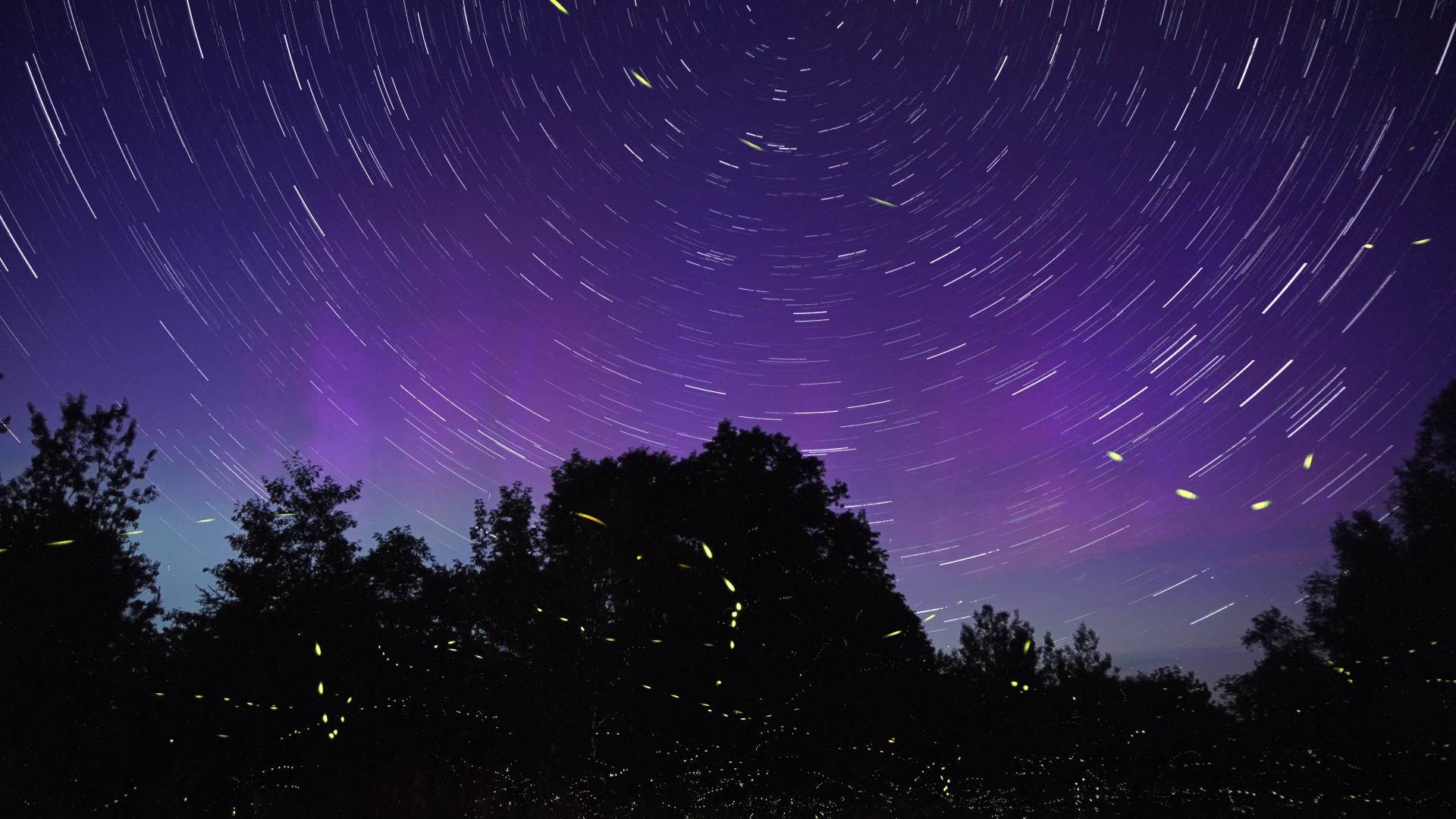 Firefly, Purple, Cloud, Space, Violet. Wallpaper in 1920x1080 Resolution