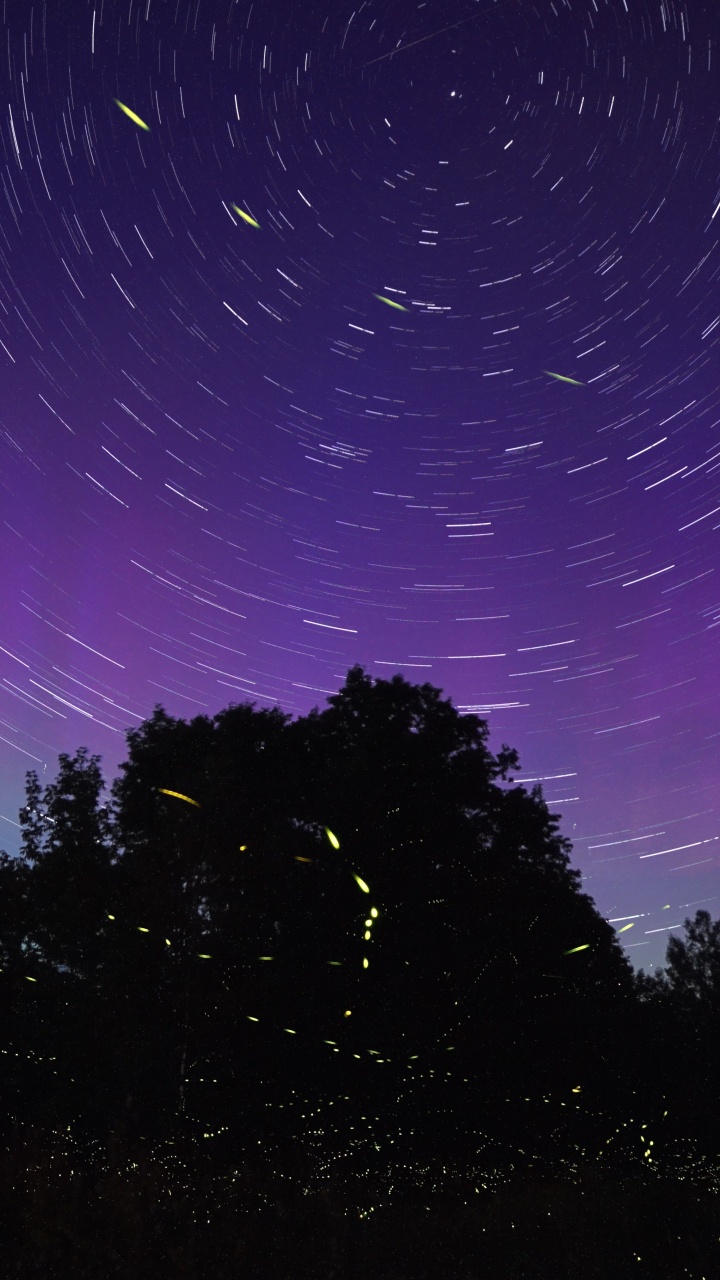 Firefly, Purple, Cloud, Space, Violet. Wallpaper in 720x1280 Resolution