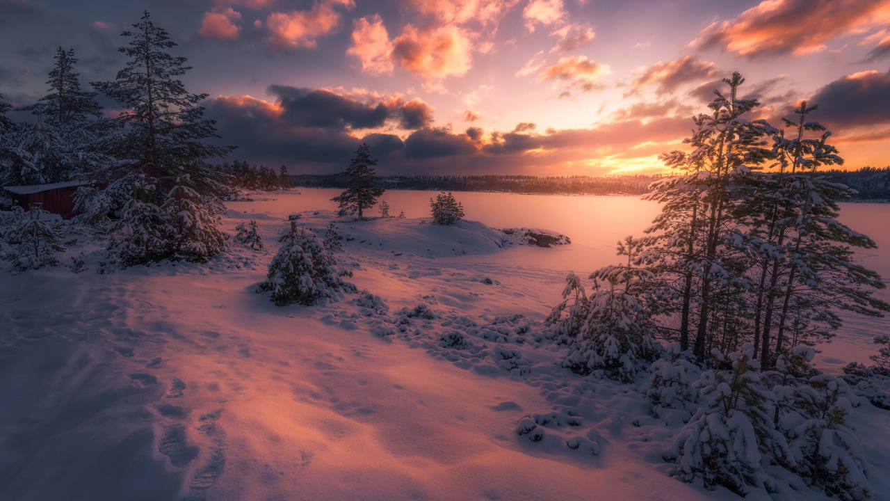 Schneebedecktes Feld Und Bäume Bei Sonnenuntergang. Wallpaper in 1280x720 Resolution