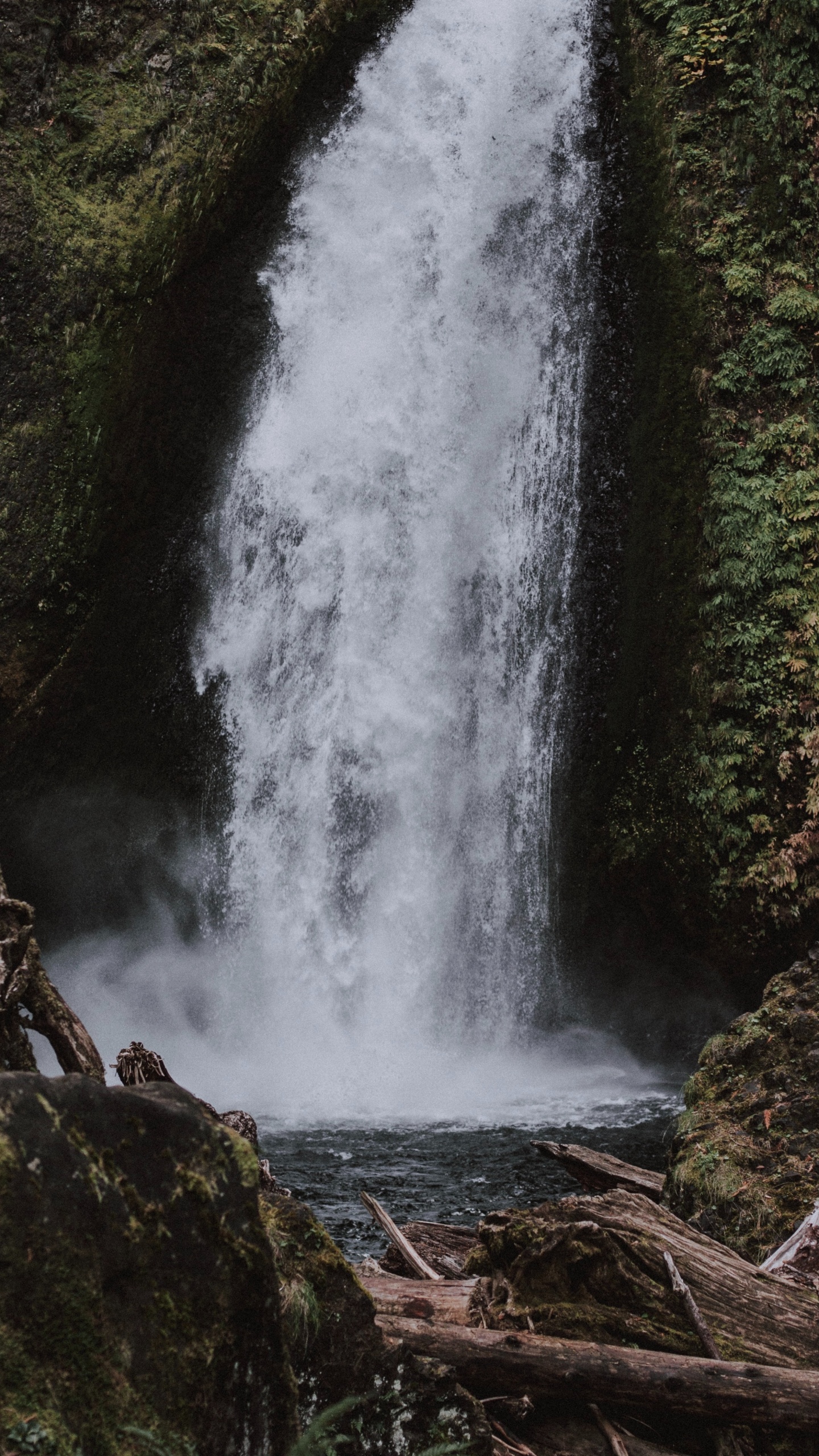 Wasserfall, Gewässer, Wasser, Wasserressourcen, Natur. Wallpaper in 1440x2560 Resolution