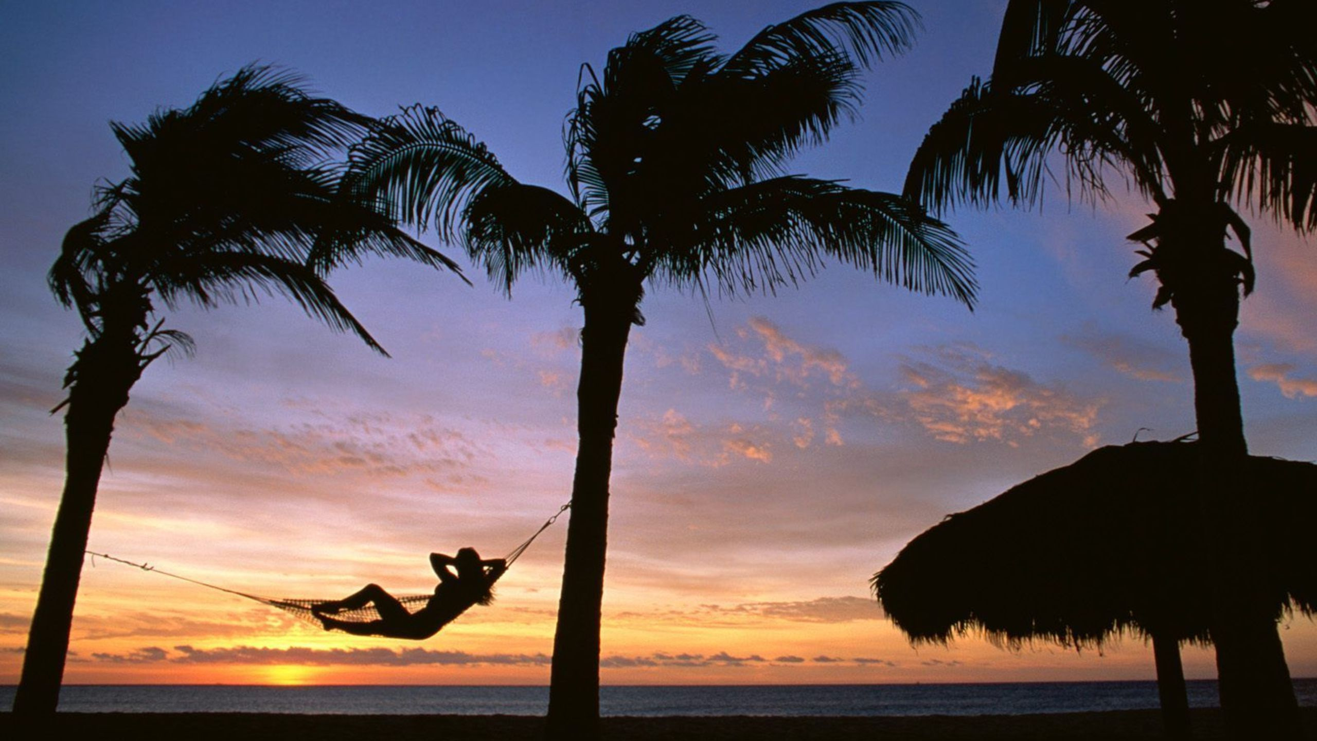 Silhouette de Femme Assise Sur un Hamac Près de la Plage Pendant le Coucher du Soleil. Wallpaper in 2560x1440 Resolution