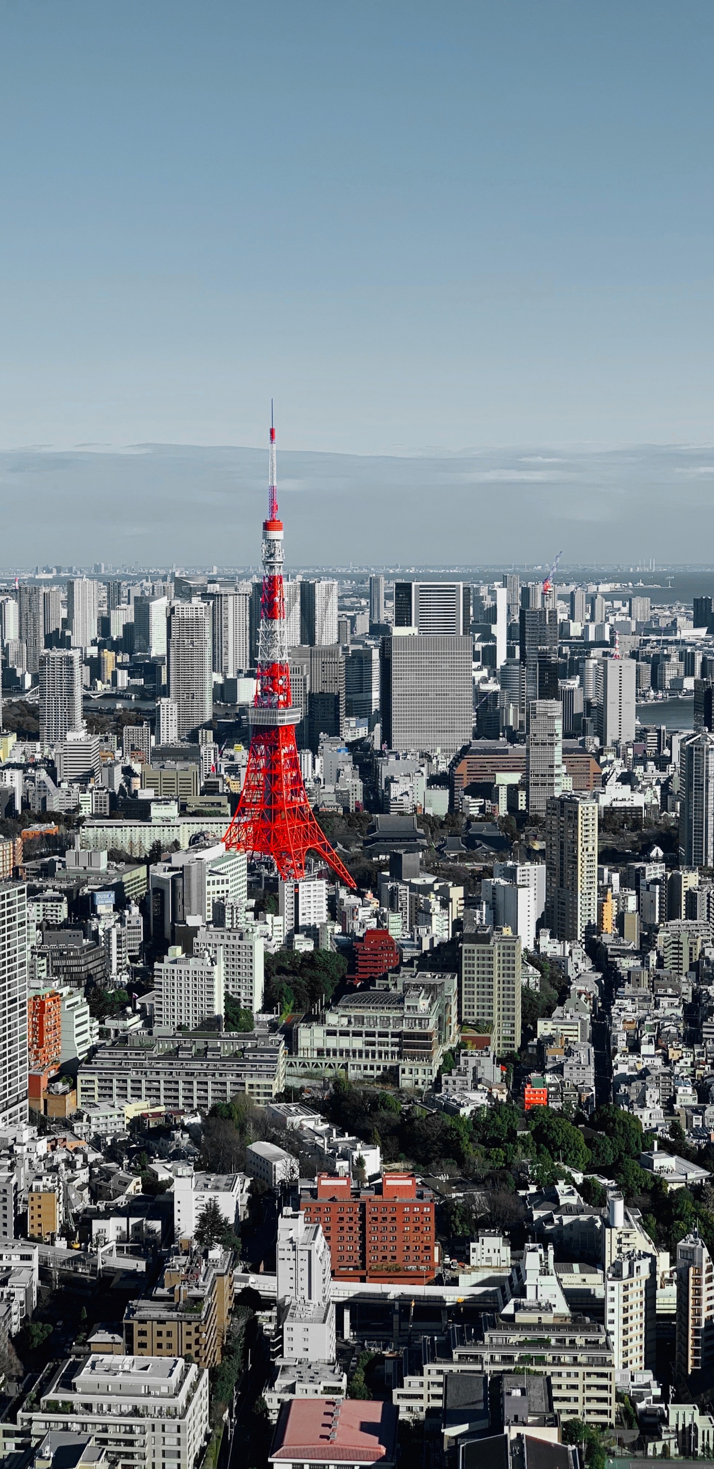Tokio, Área Urbana, Edificio, Edificio de Gran Altura, Torre. Wallpaper in 1440x2960 Resolution