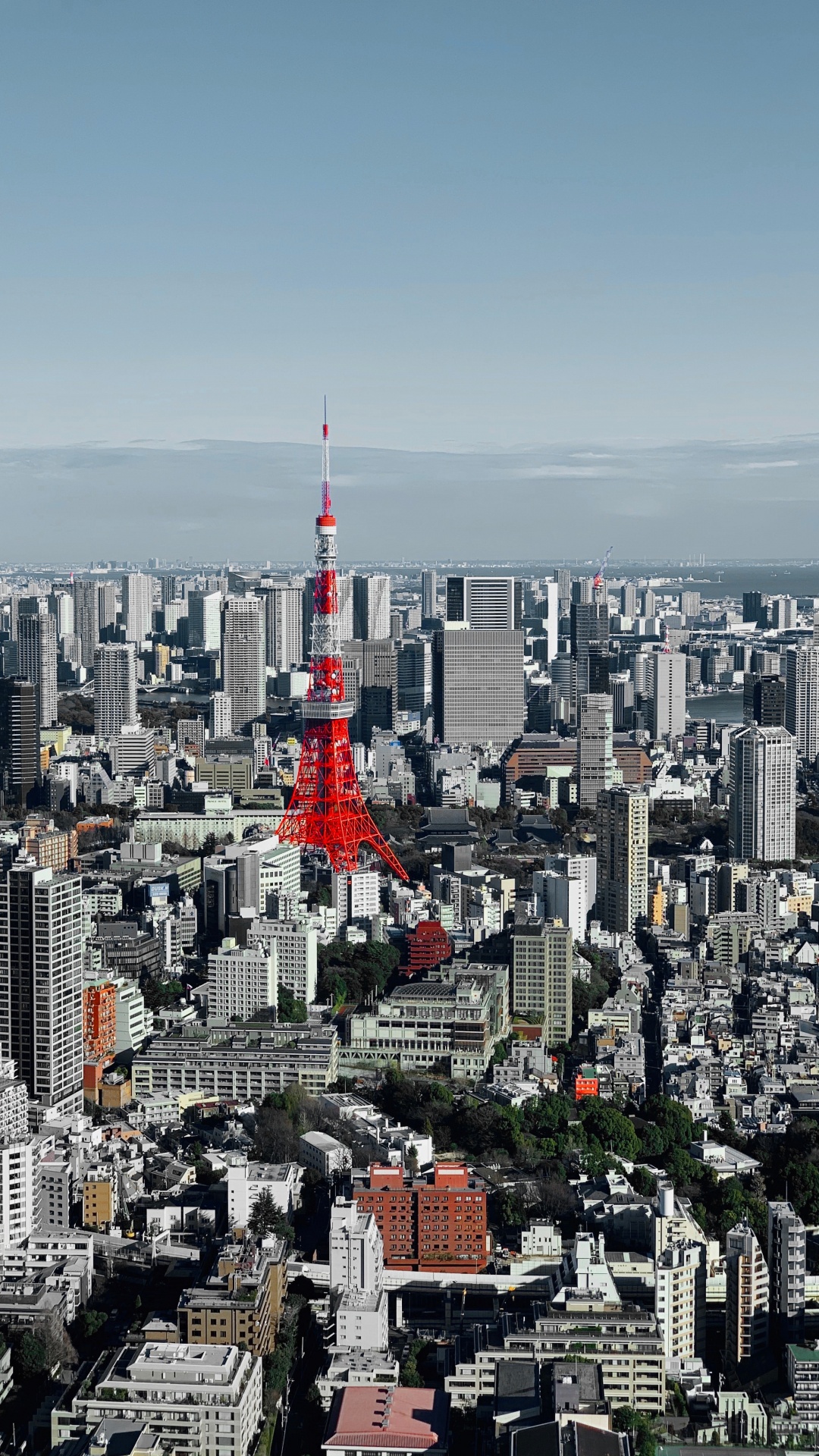 Tokyo, Gratte-ciel, Zone Urbaine, la Journée, Bâtiment. Wallpaper in 1080x1920 Resolution