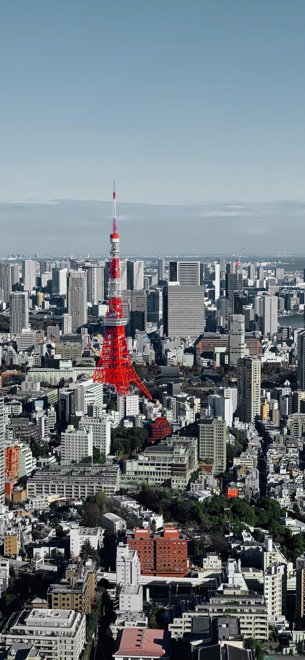 Tokyo, Skyscraper, Urban Area, Daytime, Building. Wallpaper in 1242x2688 Resolution