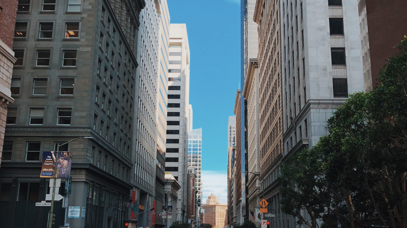 Roi, Voiture de Taille Moyenne, Voiture Compacte, Route, Quartier. Wallpaper in 1366x768 Resolution