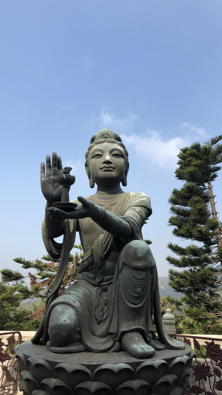 Hongkong, Tian Tan Buddha, Statue, Kopf, Natur. Wallpaper in 750x1334 Resolution