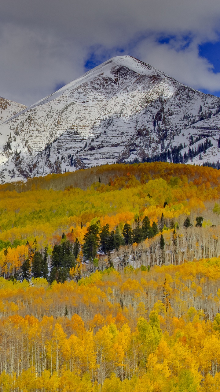 Montagne Couverte de Neige Pendant la Journée. Wallpaper in 720x1280 Resolution