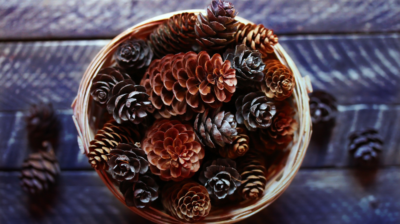 木, 体的珠宝, 珠宝, 神器, 圆圈 壁纸 1366x768 允许