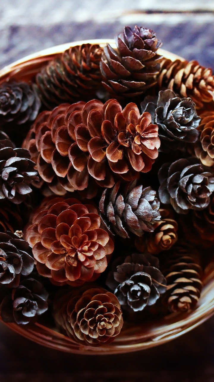 Wood, Natural Material, Body Jewelry, Jewellery, Artifact. Wallpaper in 720x1280 Resolution