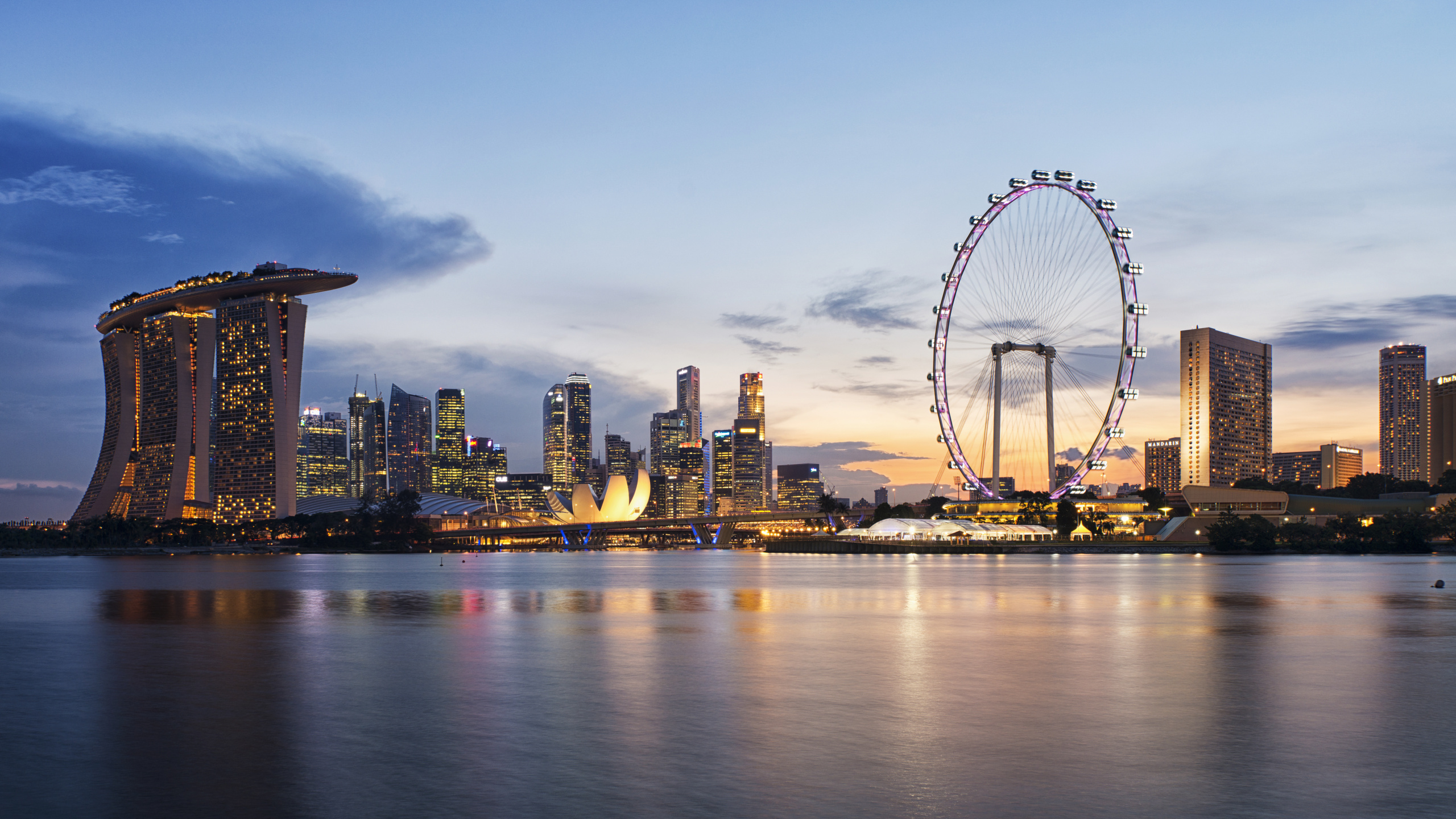 Ferris Wheel Near City Buildings During Night Time. Wallpaper in 2560x1440 Resolution