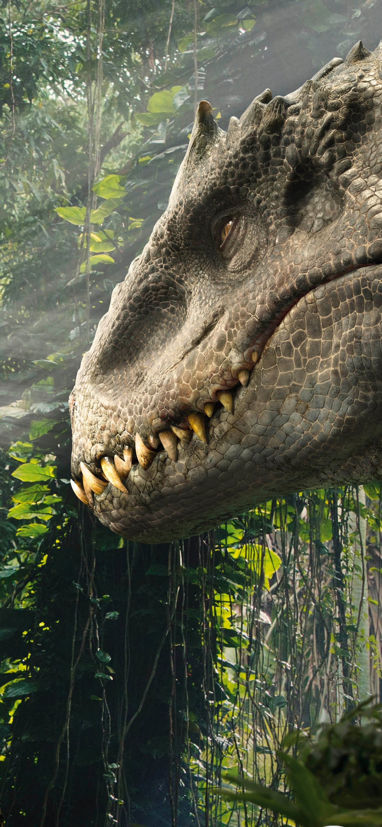 Graues Auto Auf Grauem Felsen Geparkt. Wallpaper in 1242x2688 Resolution