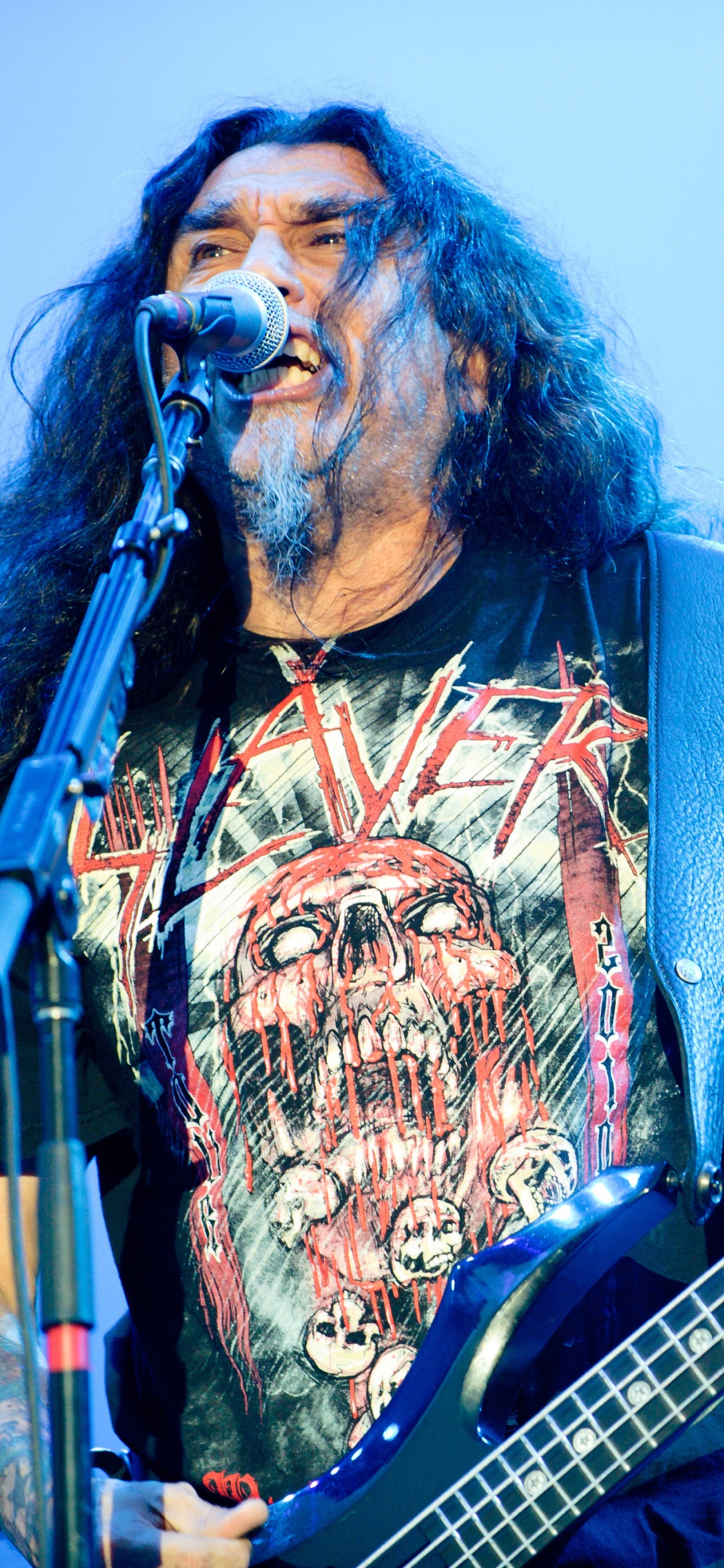 Slayer, Thrash Metal, Heavy Metal, Bass Guitar, Guitar. Wallpaper in 1125x2436 Resolution