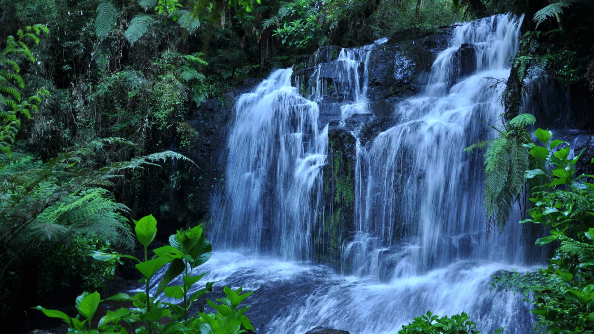 L'eau Tombe au Milieu Des Rochers Couverts de Mousse Verte. Wallpaper in 1920x1080 Resolution