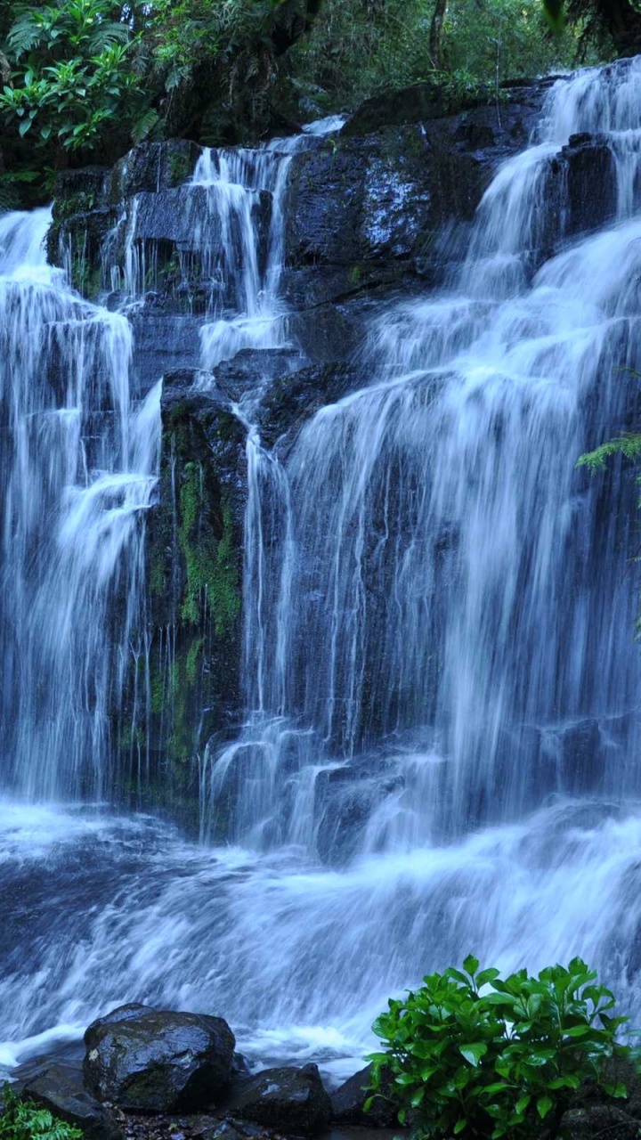 L'eau Tombe au Milieu Des Rochers Couverts de Mousse Verte. Wallpaper in 720x1280 Resolution