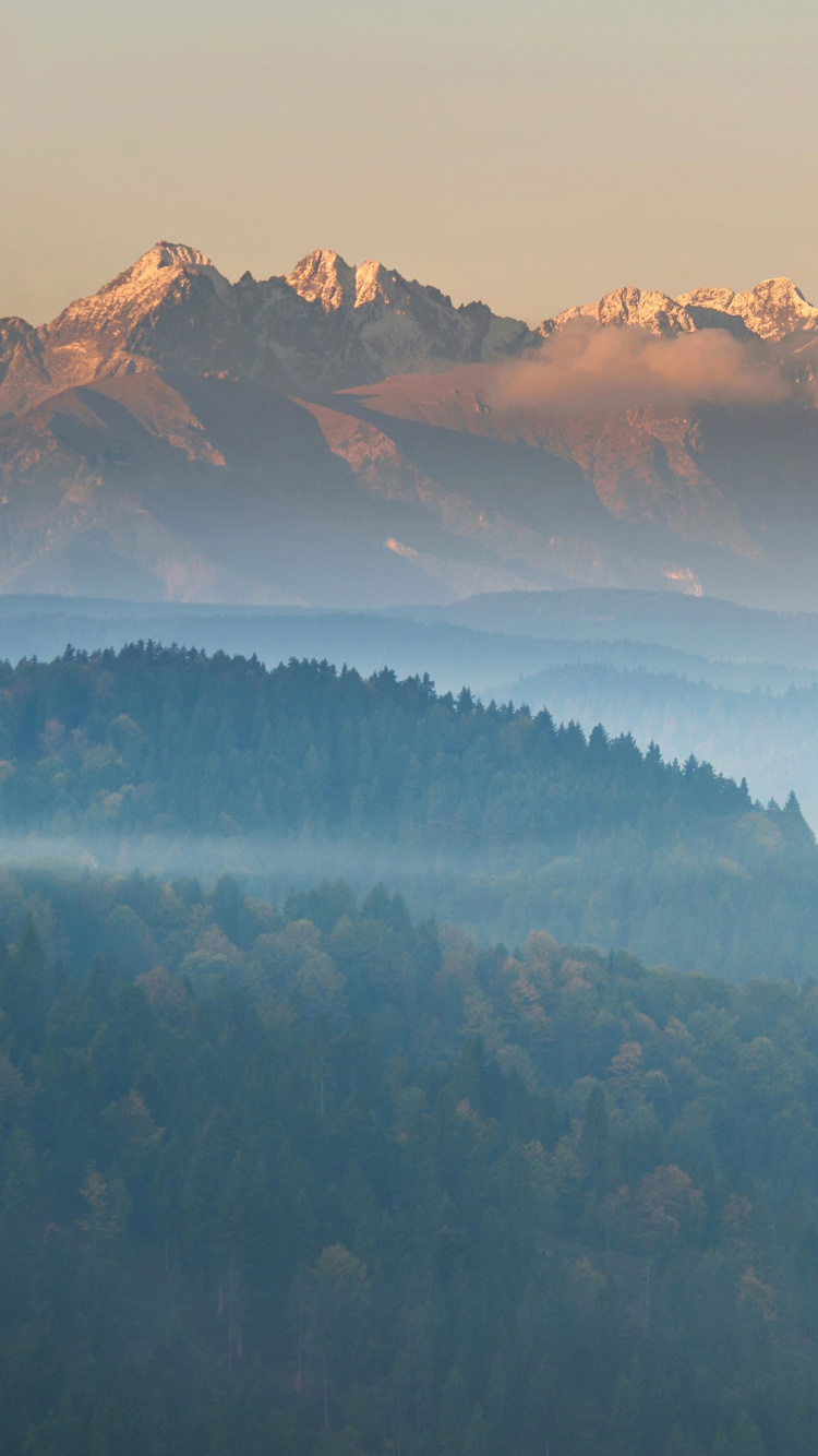 山脉, 雾, 多山的地貌, 早上, 黎明 壁纸 750x1334 允许