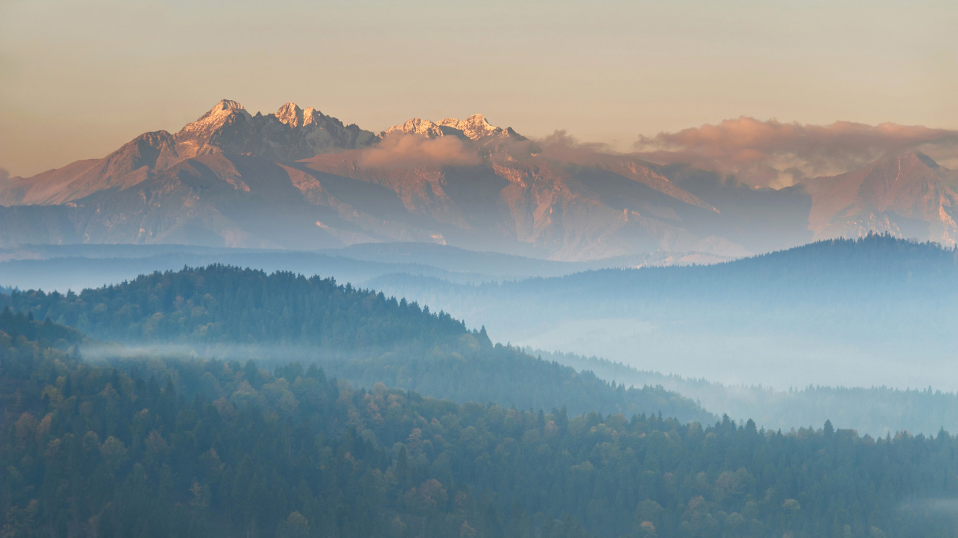 Tagsüber Grüne Bäume Und Braune Berge. Wallpaper in 1366x768 Resolution