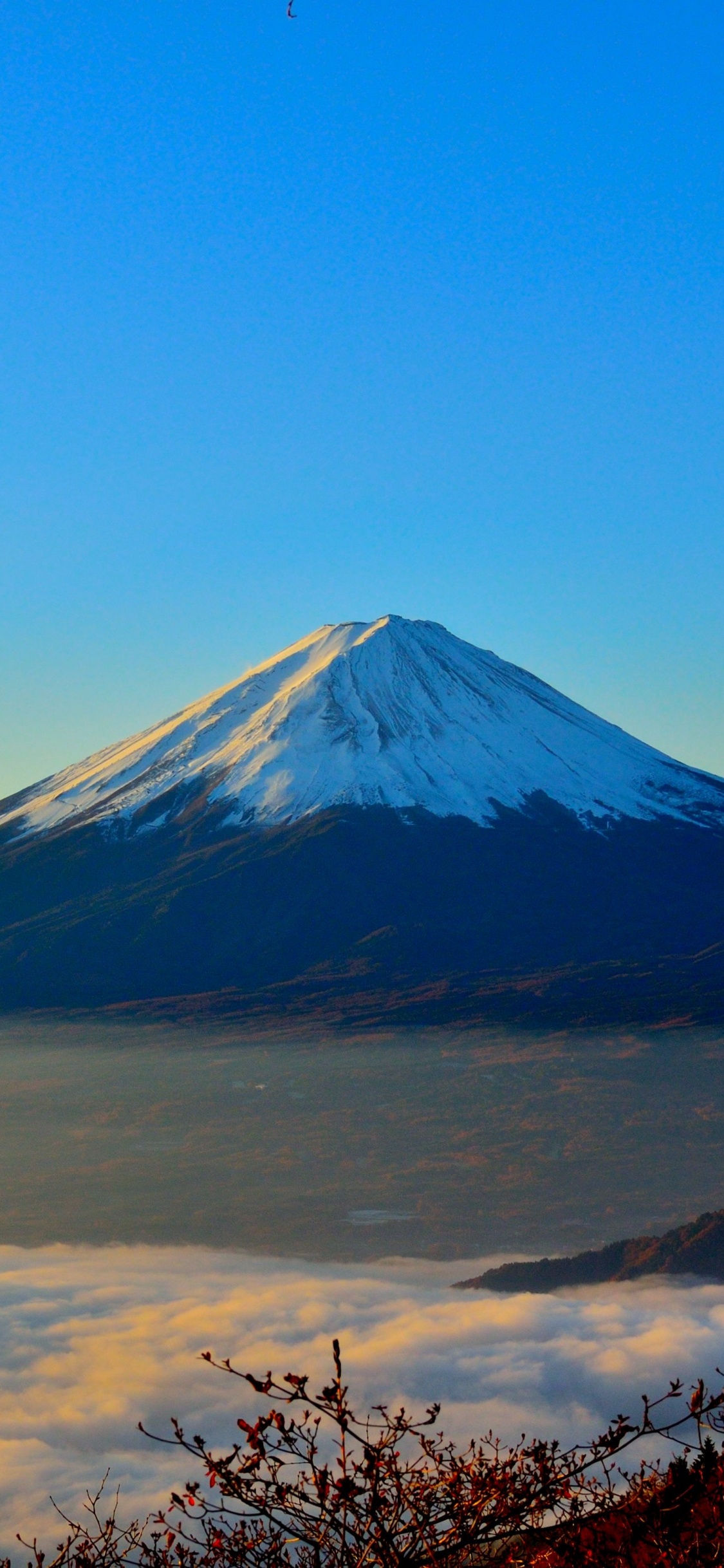 性质, 成层, 多山的地貌, 荒野, 黎明 壁纸 1125x2436 允许