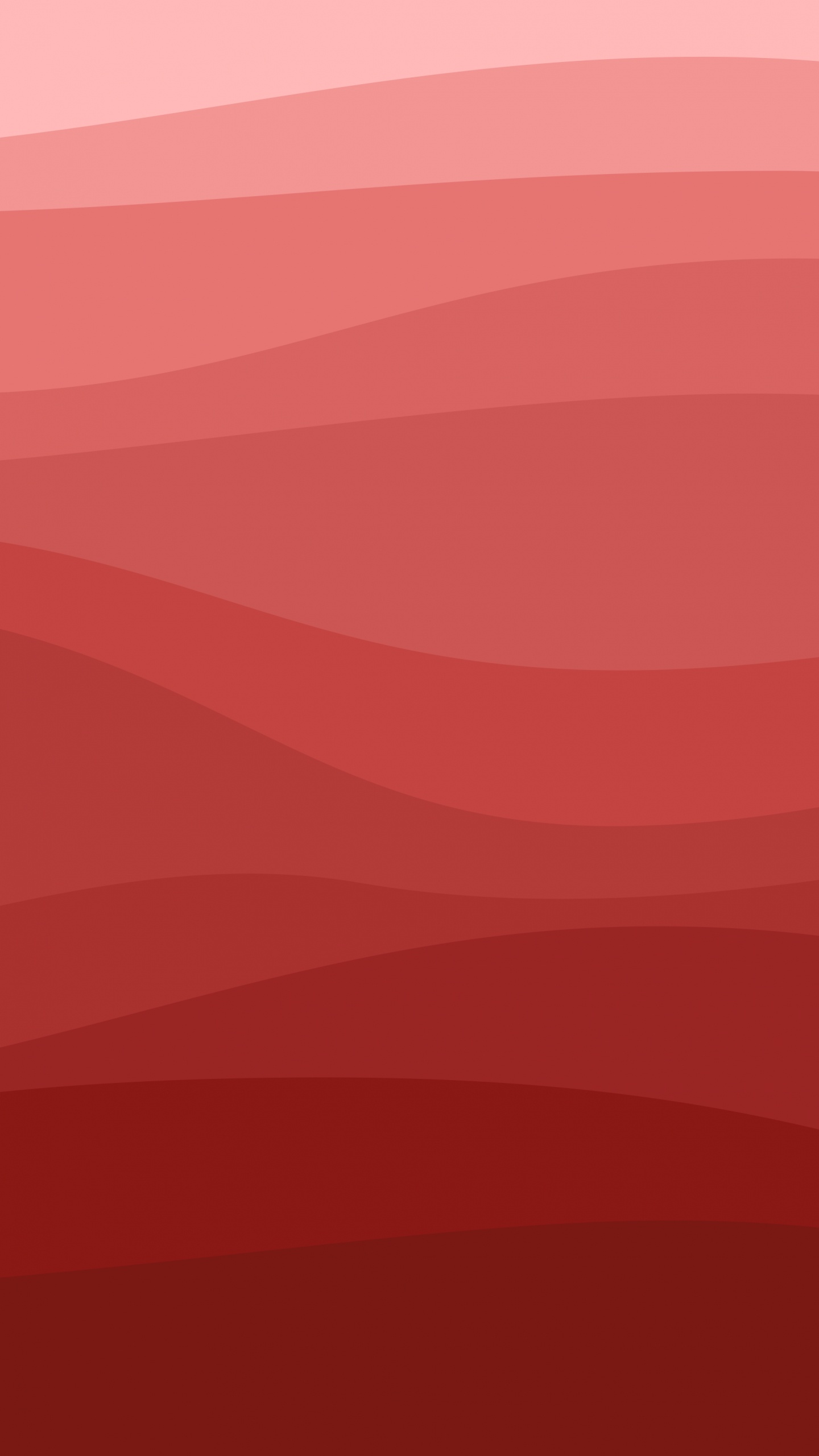 Naranja, Morena, Rosa, Rojo, Material Propiedad. Wallpaper in 1440x2560 Resolution