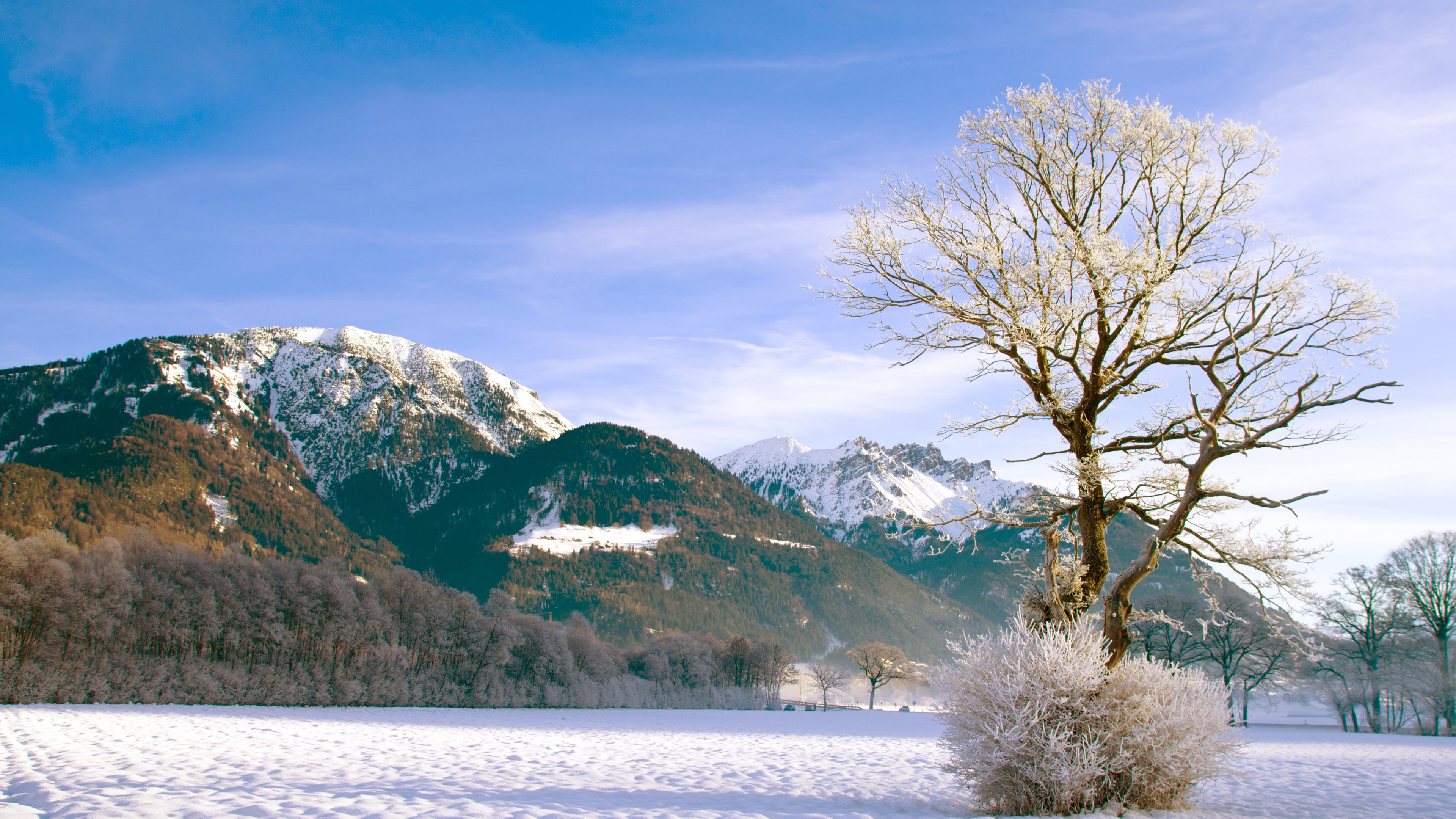 Bare Tree on Snow Covered Ground Near Mountain Under Blue Sky During Daytime. Wallpaper in 3840x2160 Resolution