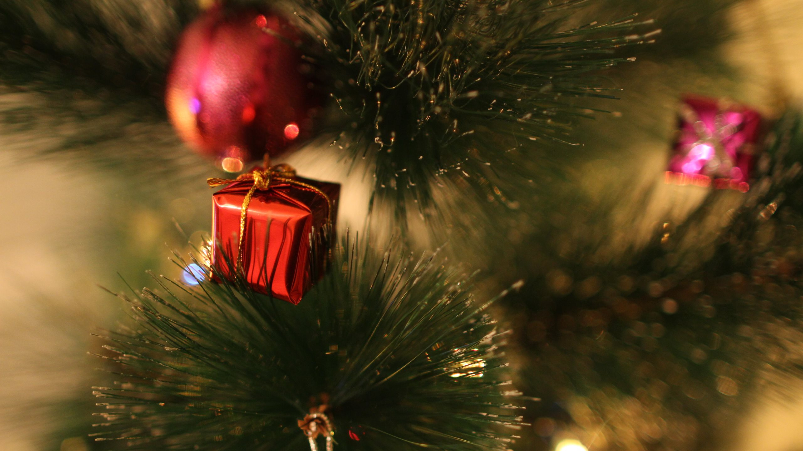 Neujahr, Weihnachten, Christmas Ornament, Baum, Weihnachtsbaum. Wallpaper in 2560x1440 Resolution