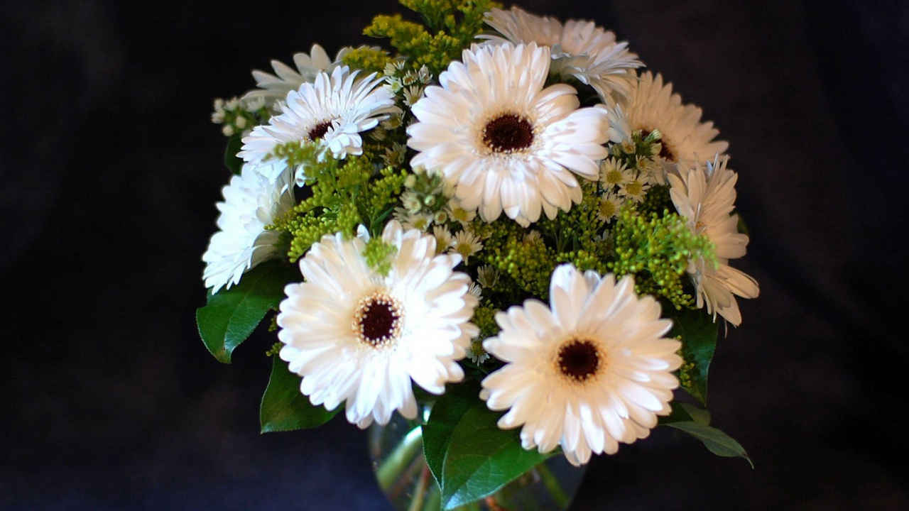 White and Green Flower in Clear Glass Vase. Wallpaper in 1280x720 Resolution