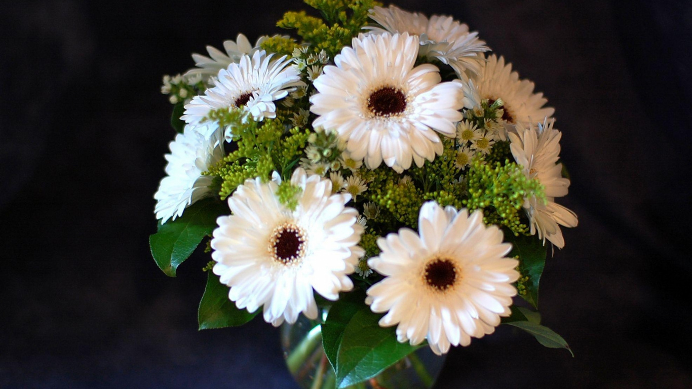 White and Green Flower in Clear Glass Vase. Wallpaper in 1366x768 Resolution
